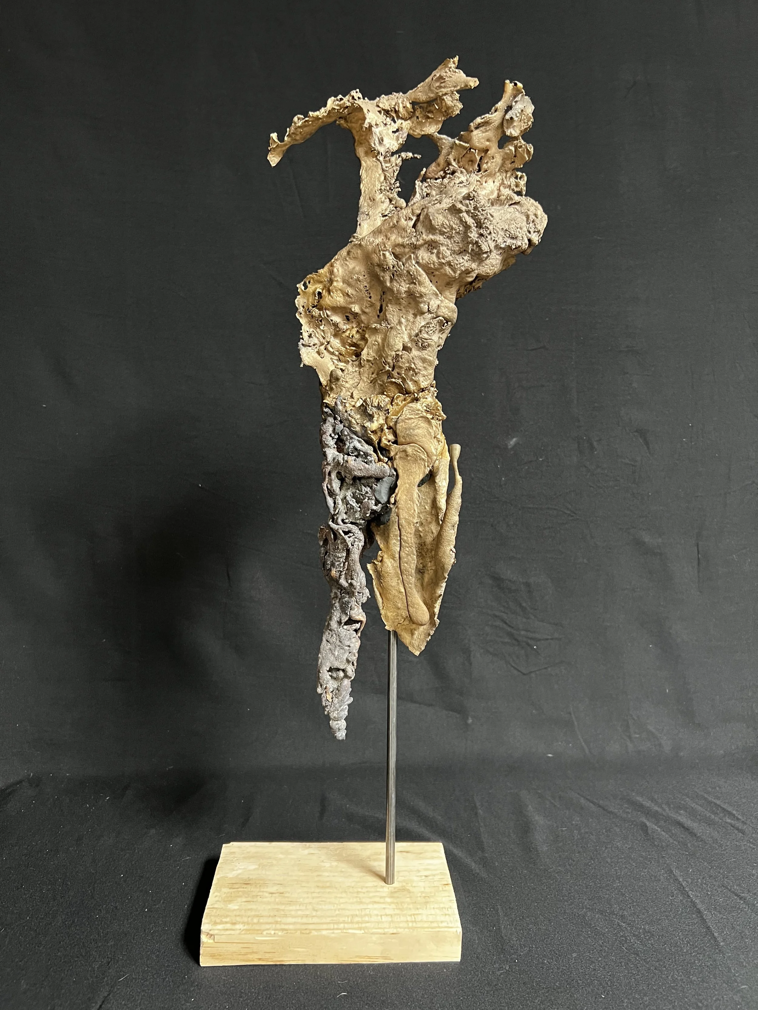 Icarus I    21"x6"x4"    Bronze, Wood    $2500.00