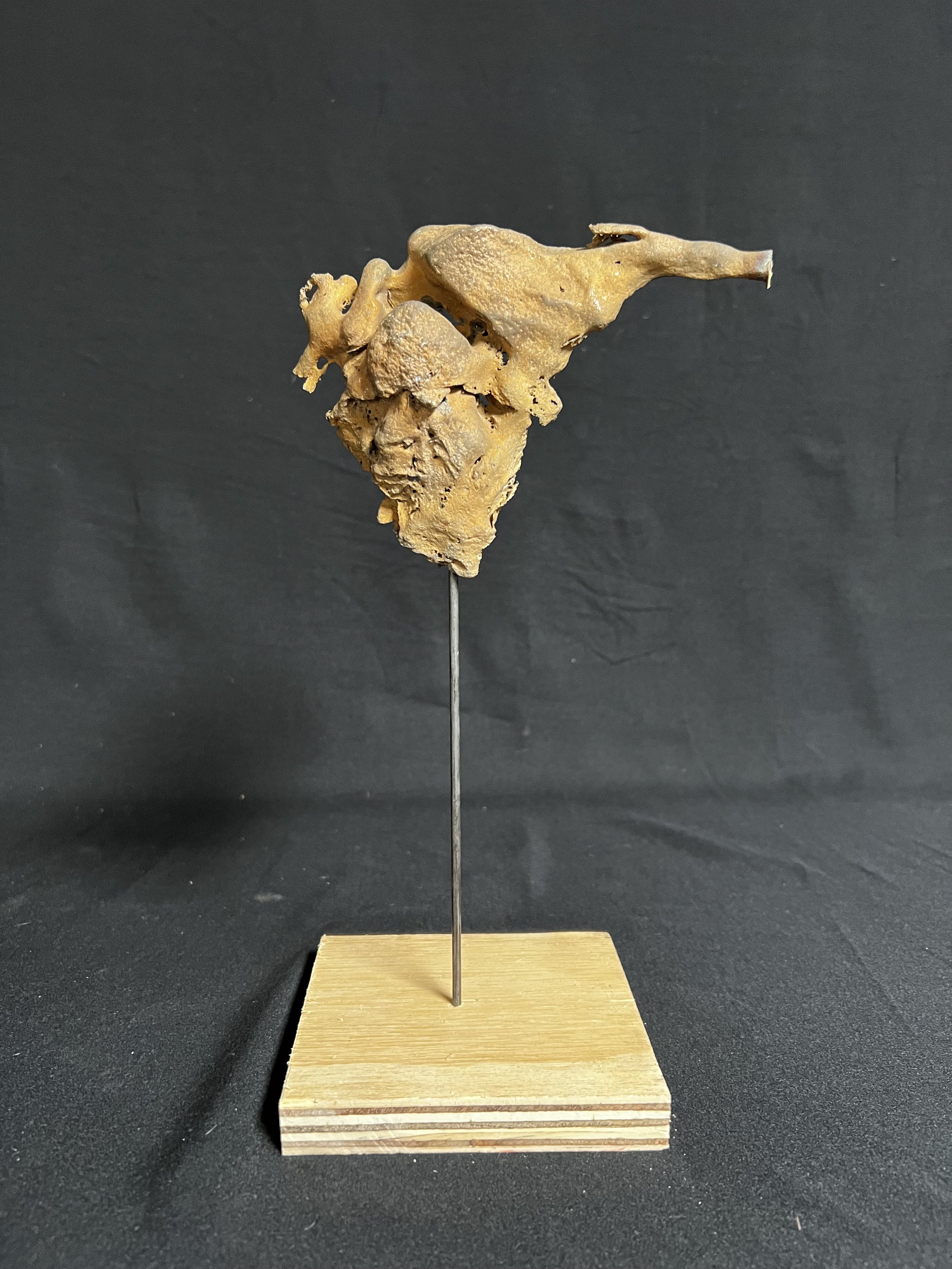 Zeus I   10"x4"x4"    Bronze Wood    $1600.00 