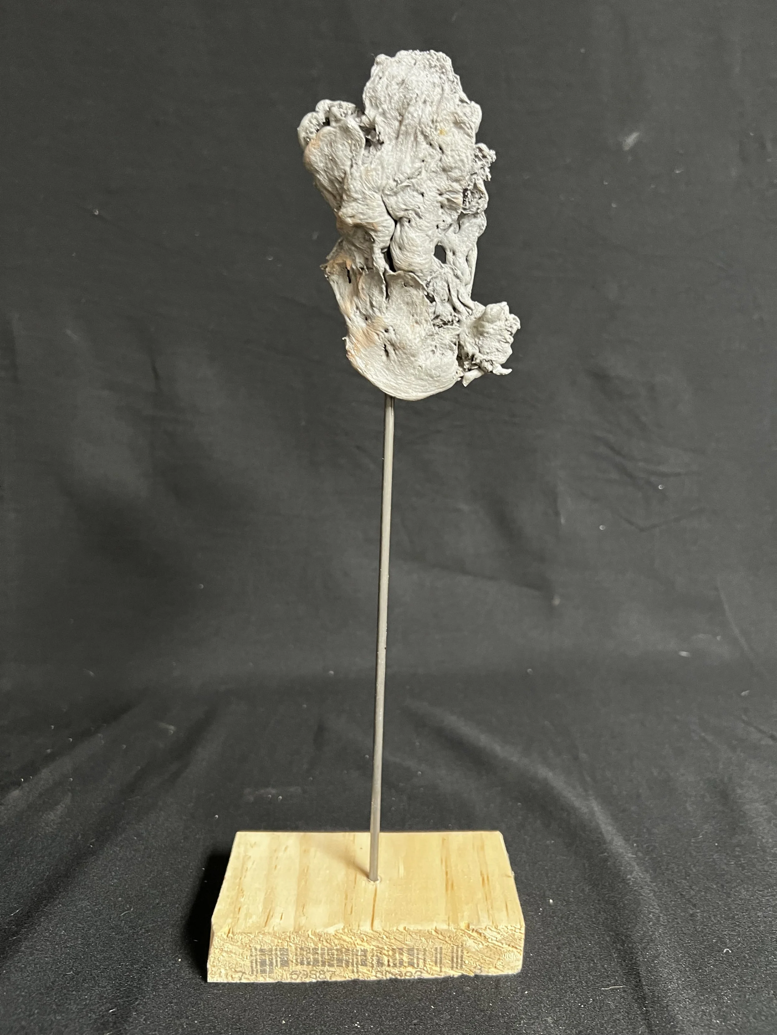 Winged Torso XII    12"x5"x2"    Aluminum, Wood    $1000.00