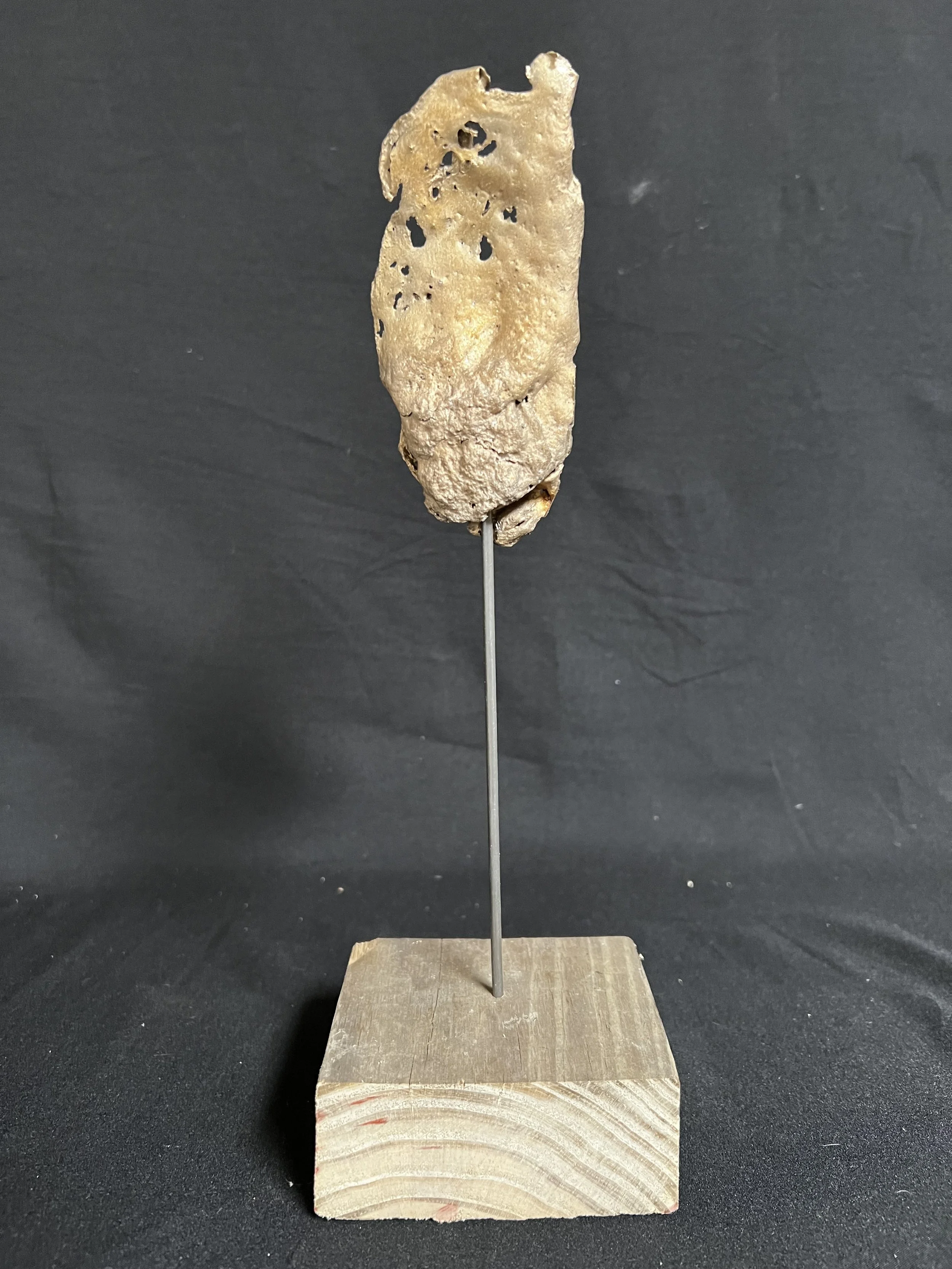 Female Torso I    11"x4"x3" Bronze, Wood    $1800.00