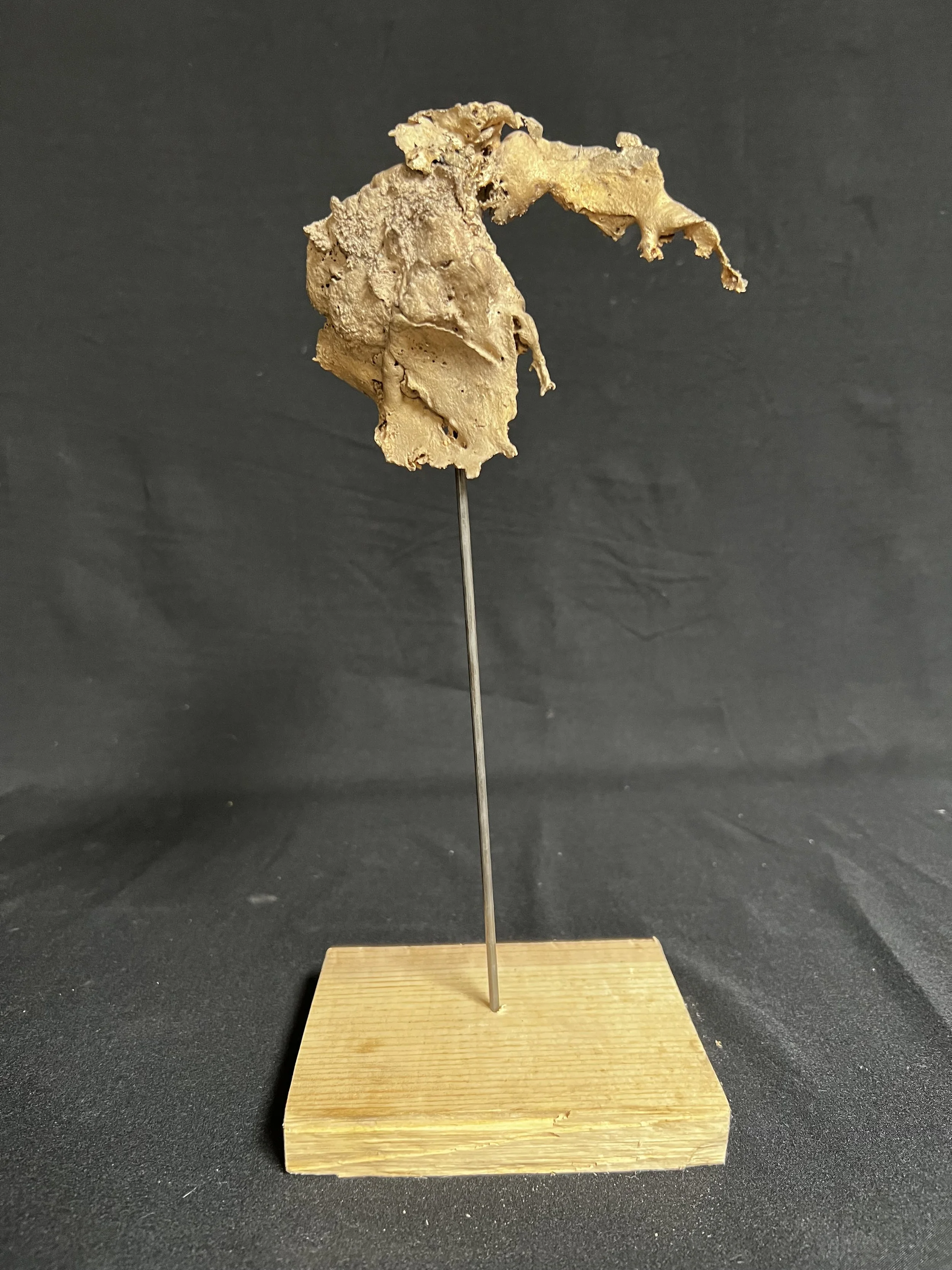 Torso with Wing I     11"x5"x4"    Bronze, Epoxy Putty, Paint, Wood    $1500.00