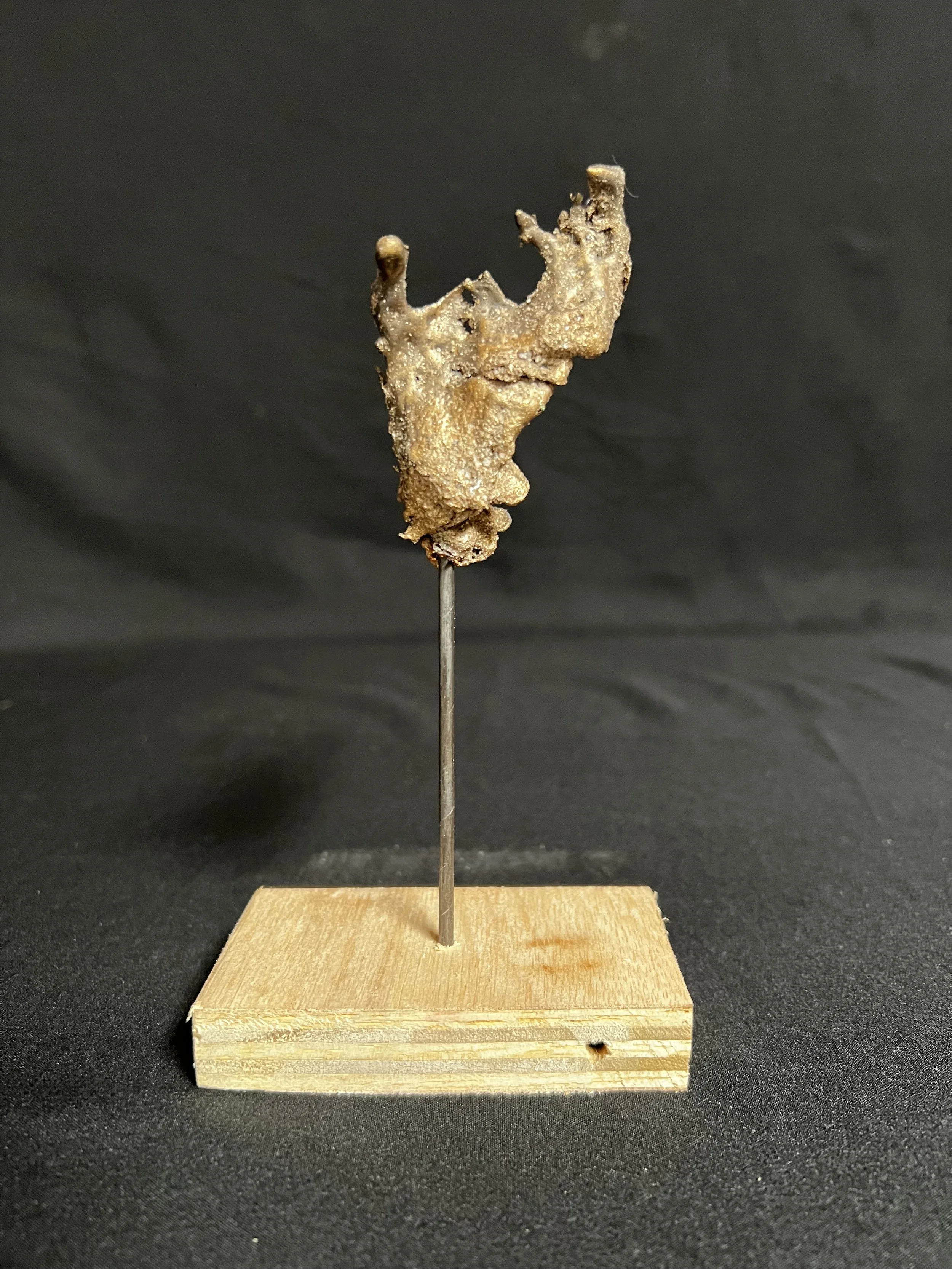 Torso Descending I     7"x4"x2"     Bronze, Wood    $600.00