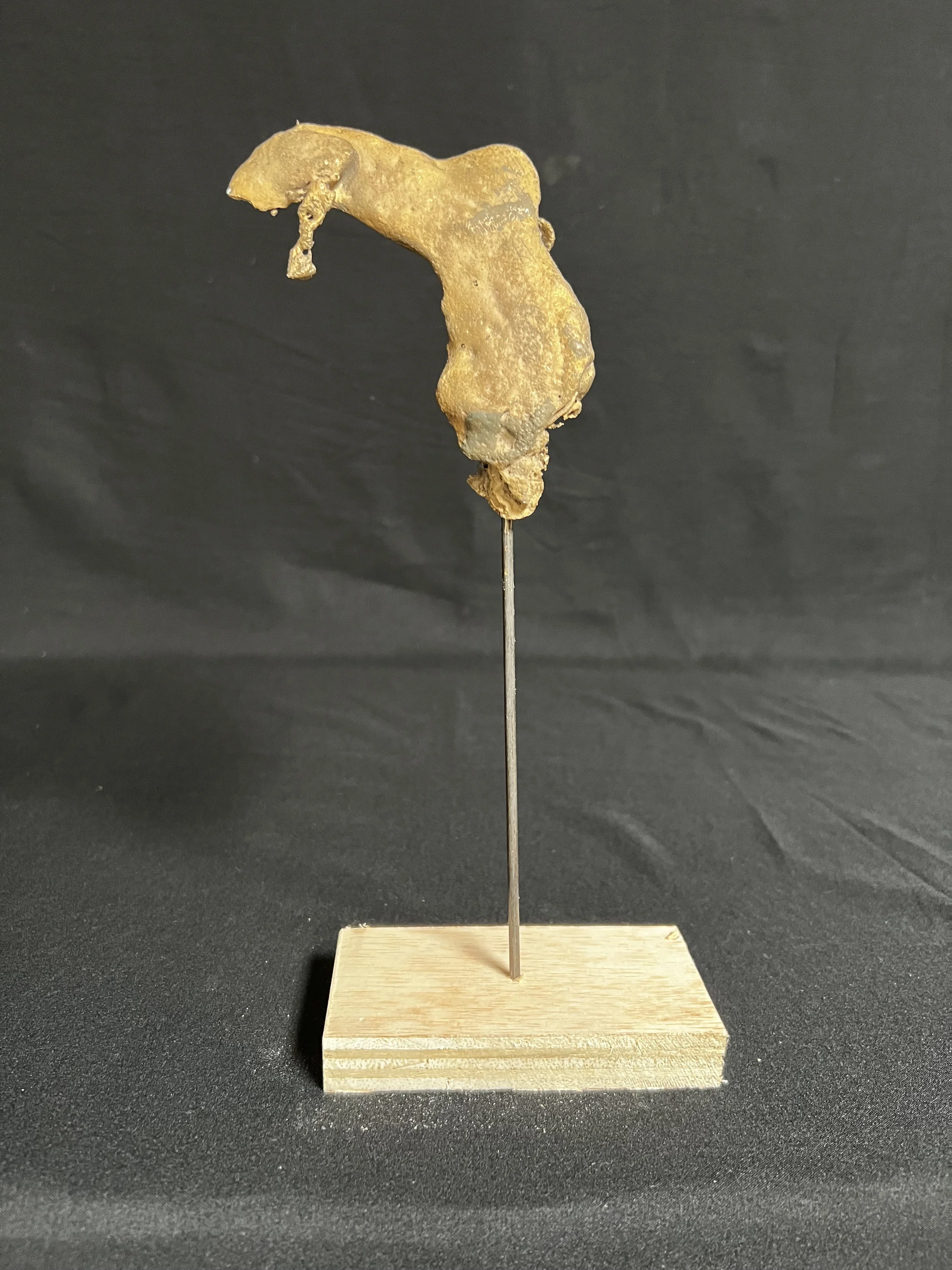 Torso with Double Wing     10"x4"x2"      Bronze, Wood      $1200.00