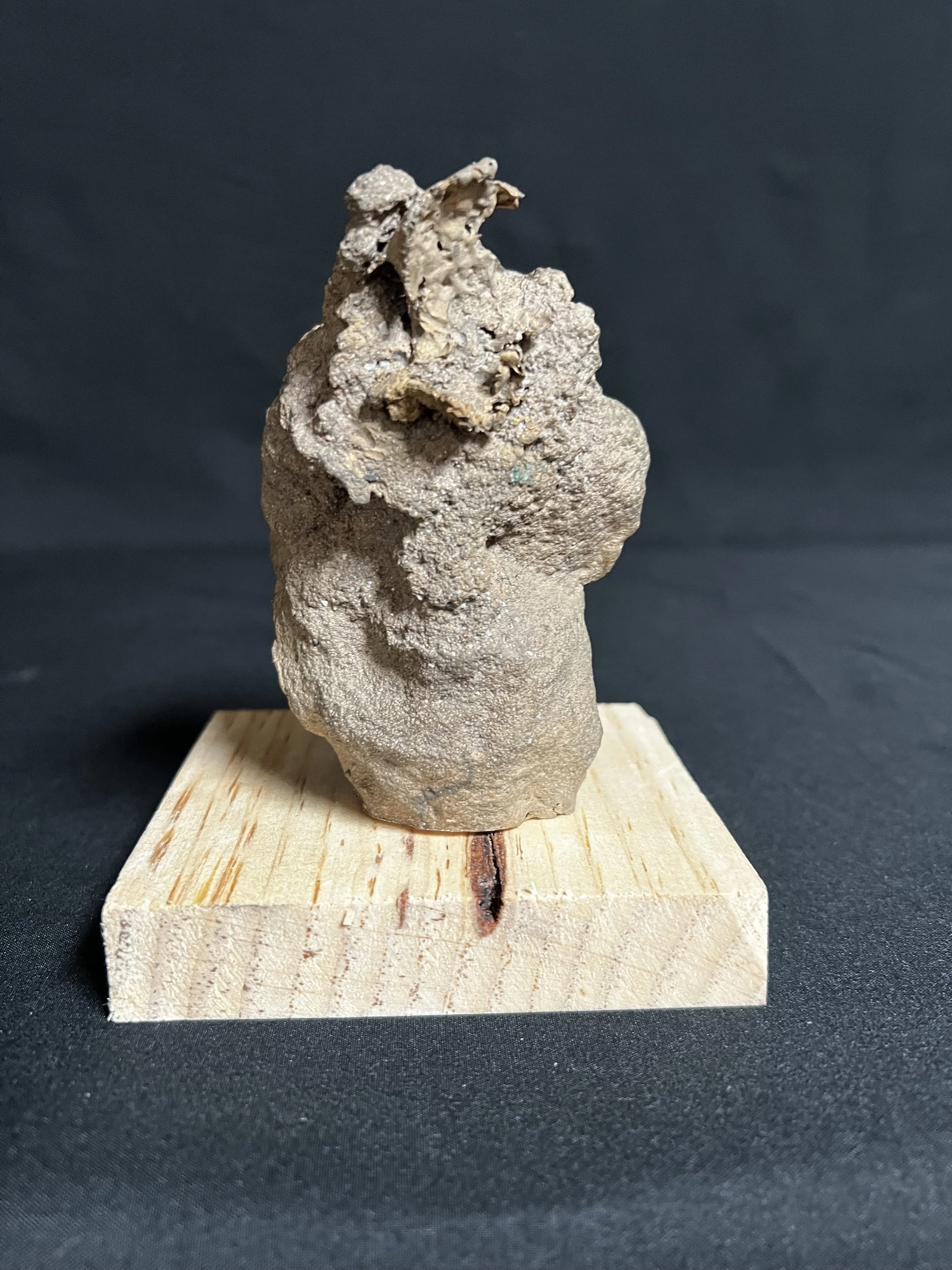 Static Torso V     5"x4"x4"     Bronze, Wood     $1100.00