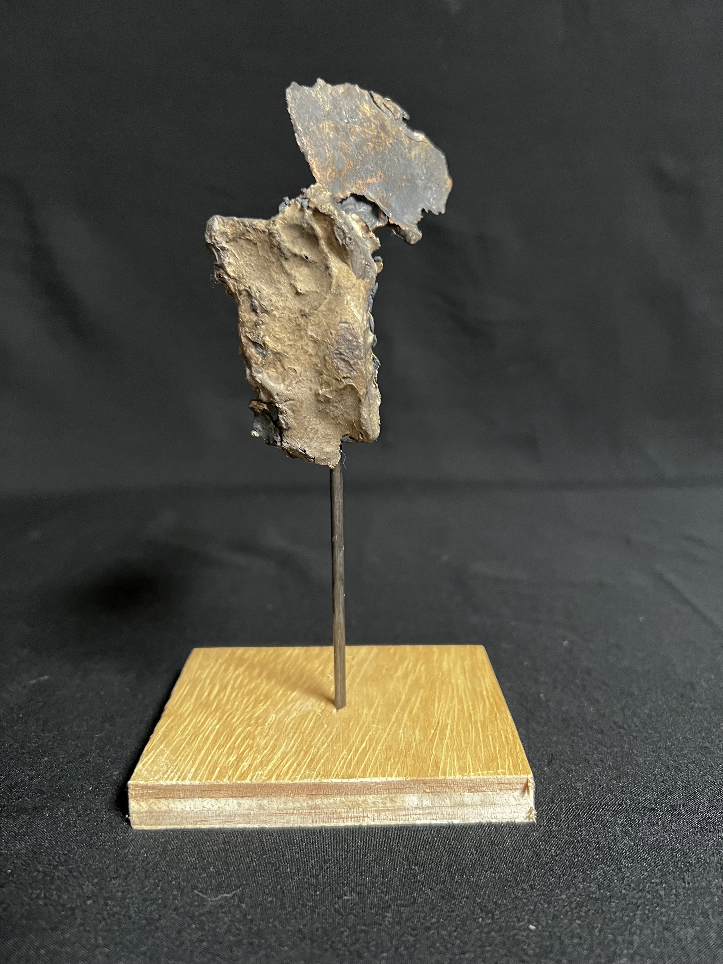 Torso with Wing III    6"x4"x2"    Bronze, Epoxy Putty, Paint, Wood     $550.00