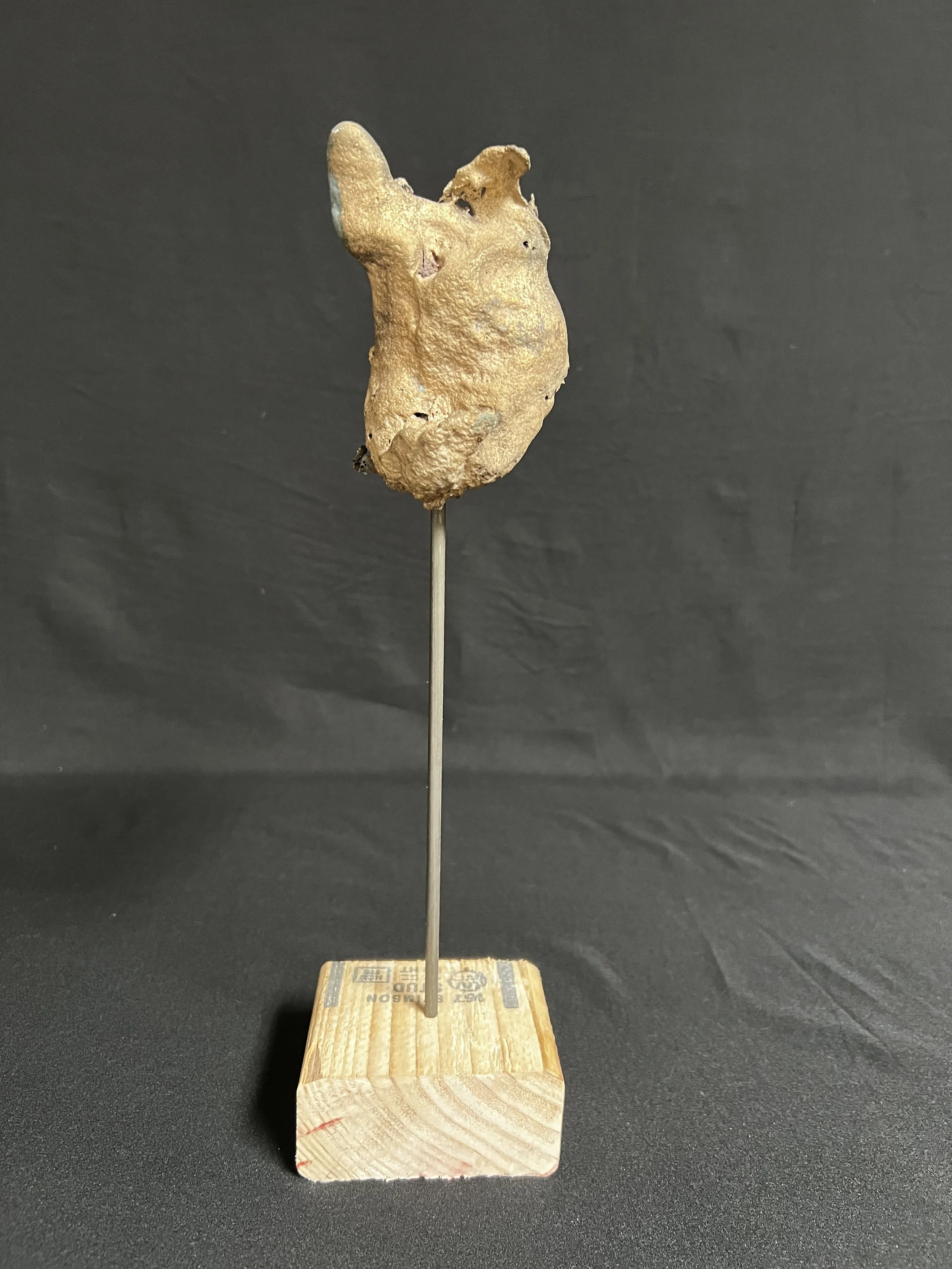 Torso with Wing VI    13"x4"x4"    Bronze, Wood     $1600.00