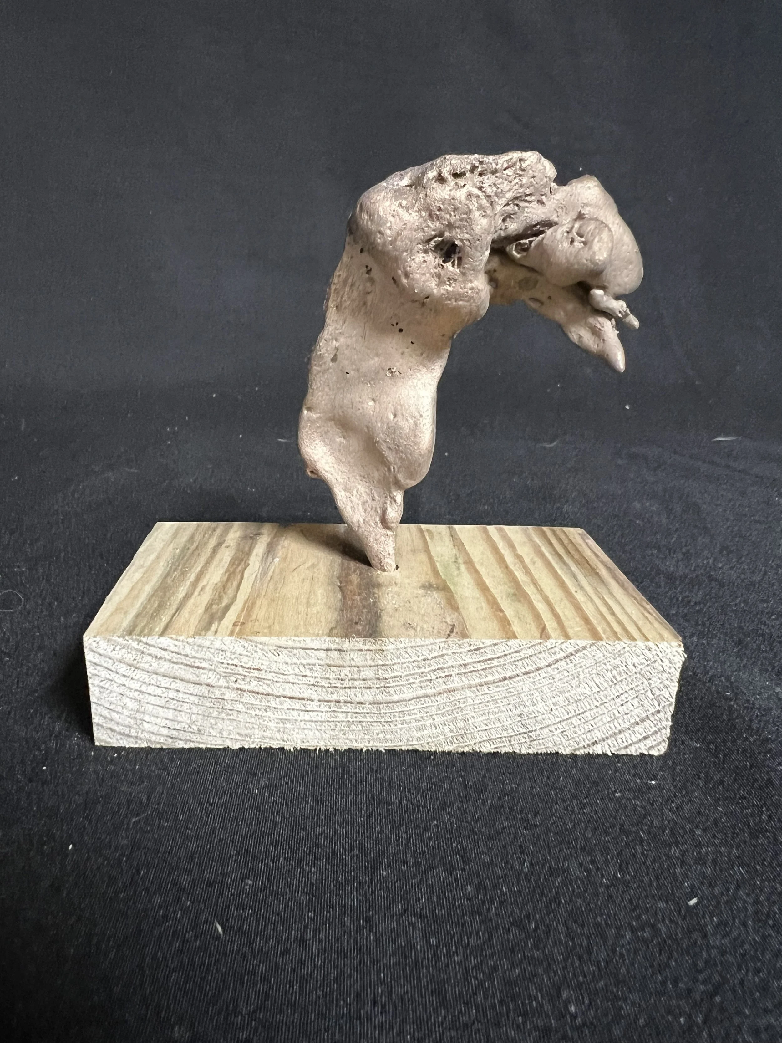 Jewel Series: Female Torso IV    3"x4"x2" Bronze, Wood    $500.00