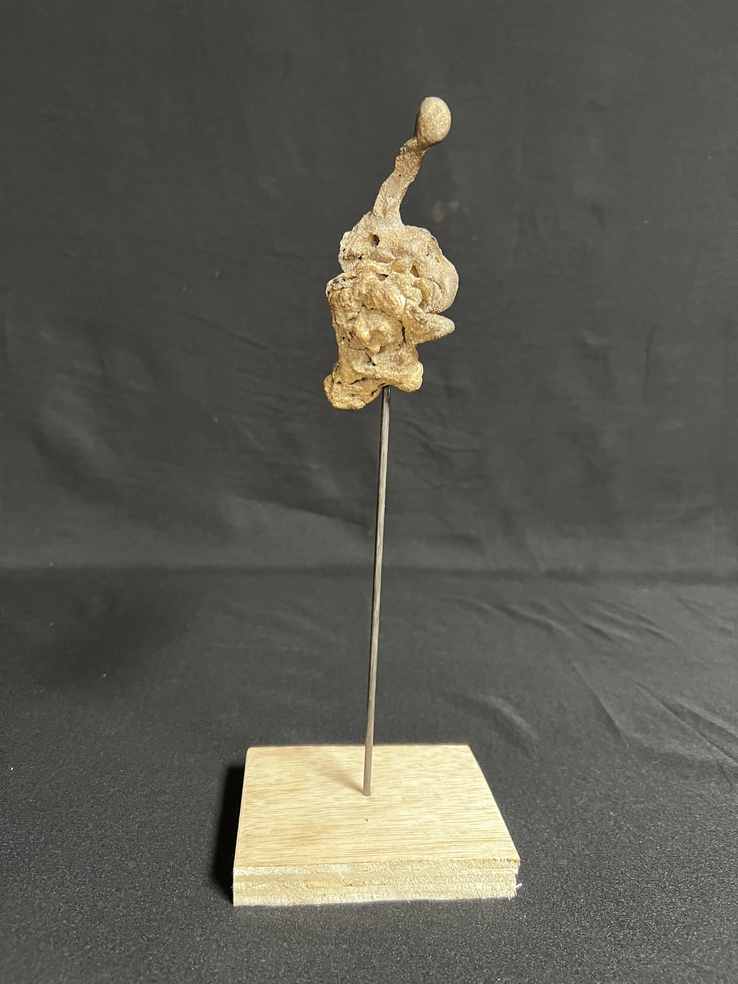 Figure IV     12"x4"x3"     Bronze, Wood     $1100.00