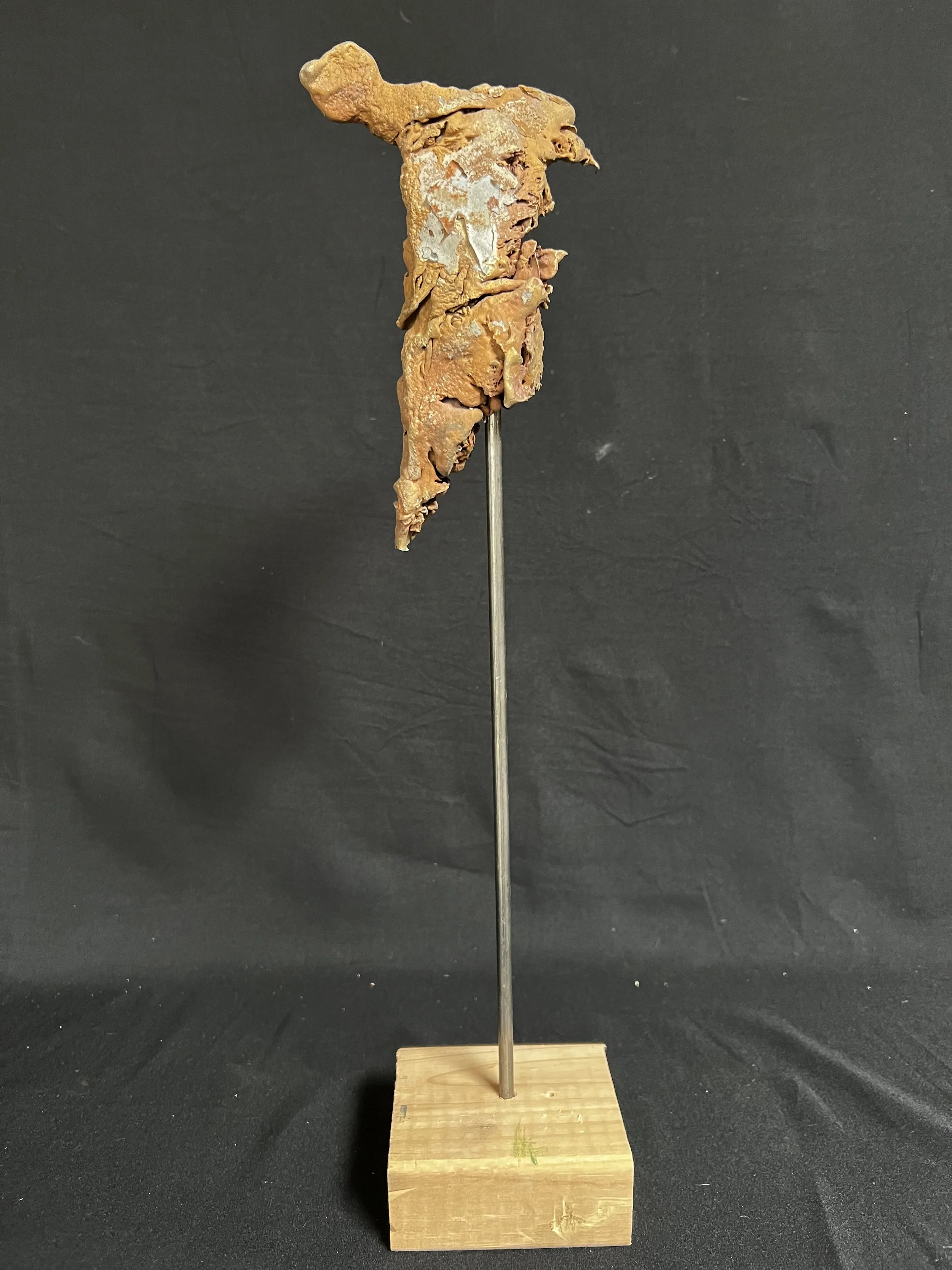 Winged Torso IV    17"x3"x3"  Bronze, Natural Patina, Wood    $1800.00