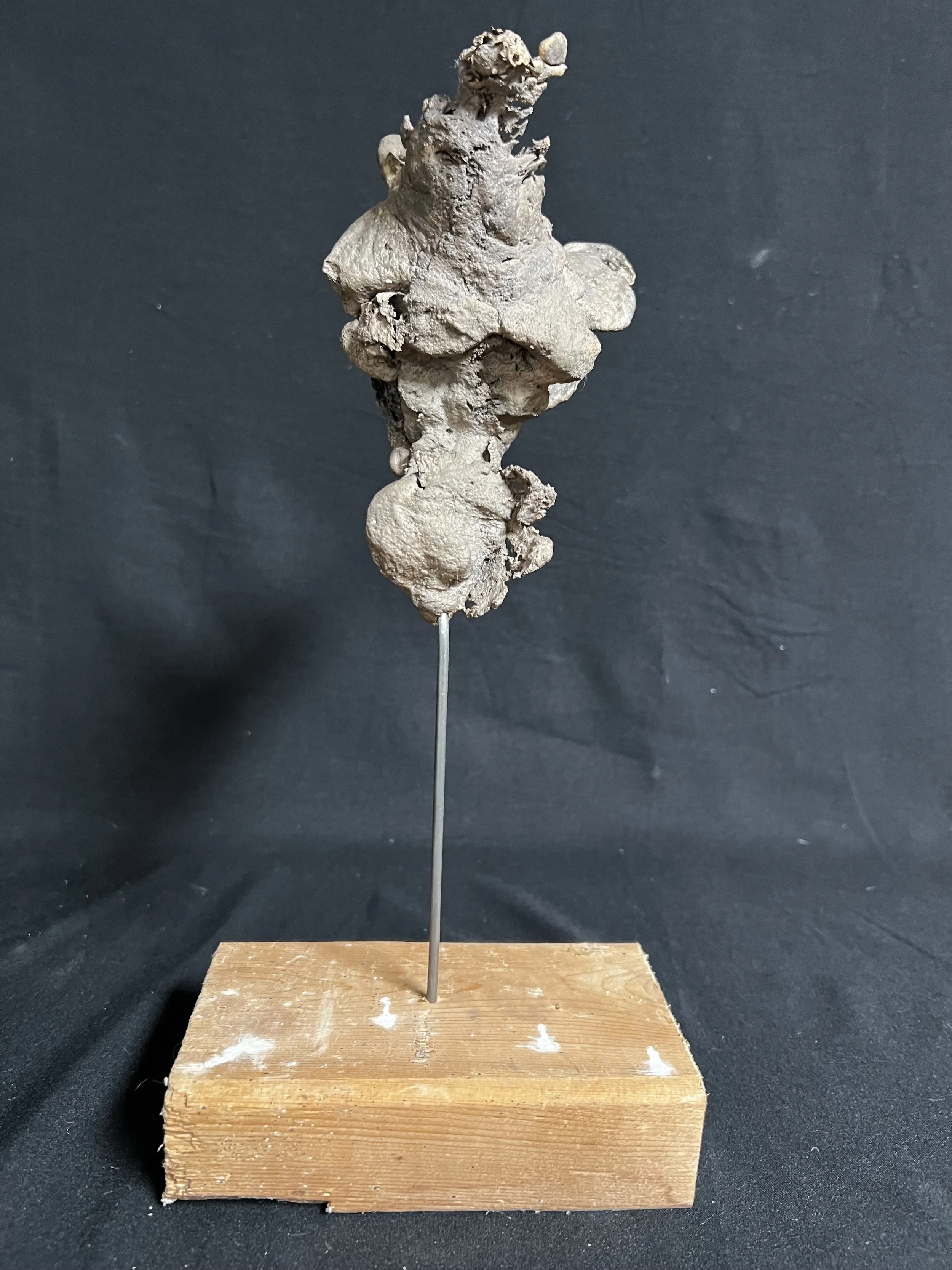 Winged Torso XVII    12"x6"x3"  Bronze, Wood, Natural Patina    $1200.00