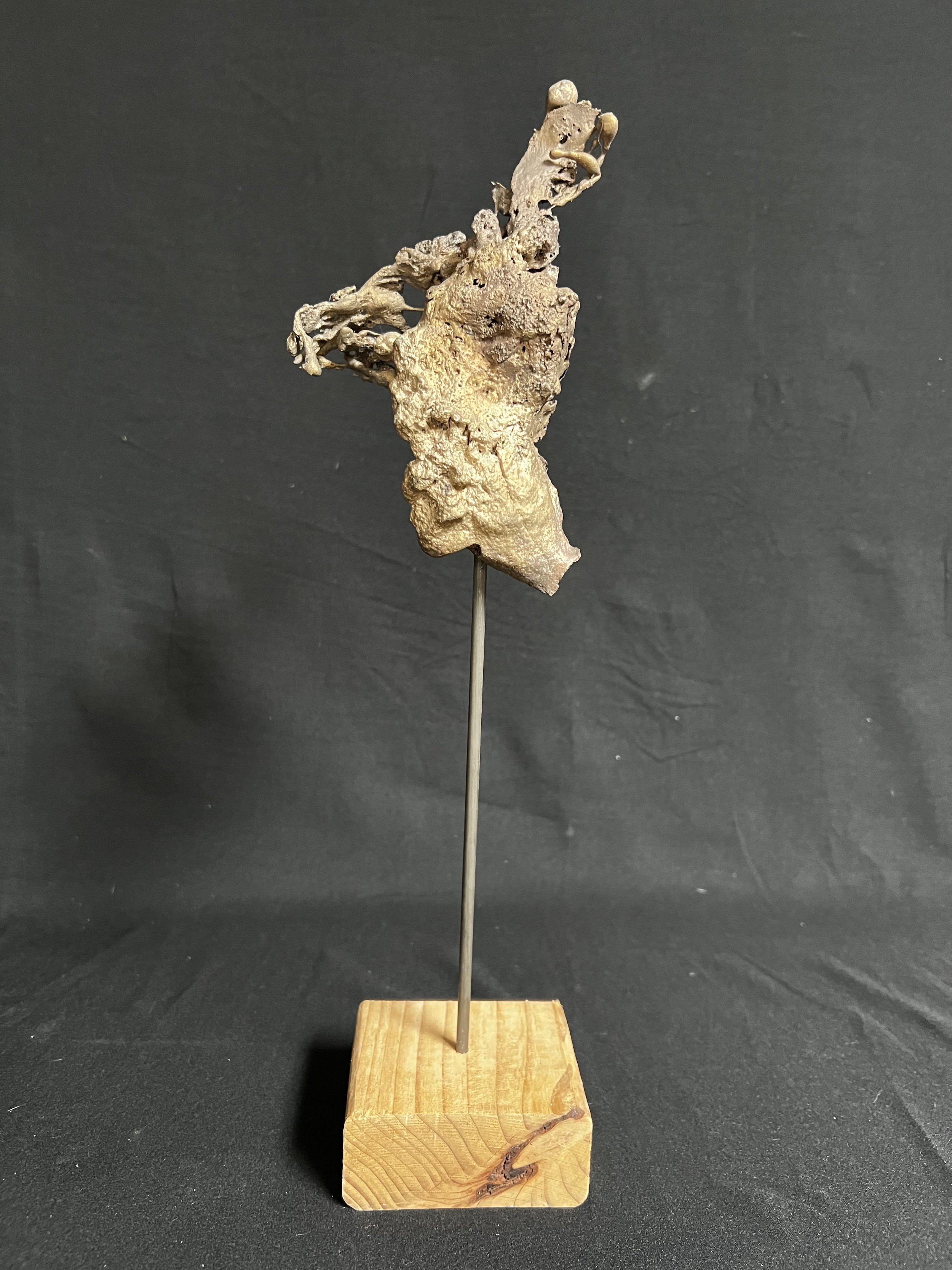 Angel I     15"x3"x3"    Bronze, Wood    $1800.00