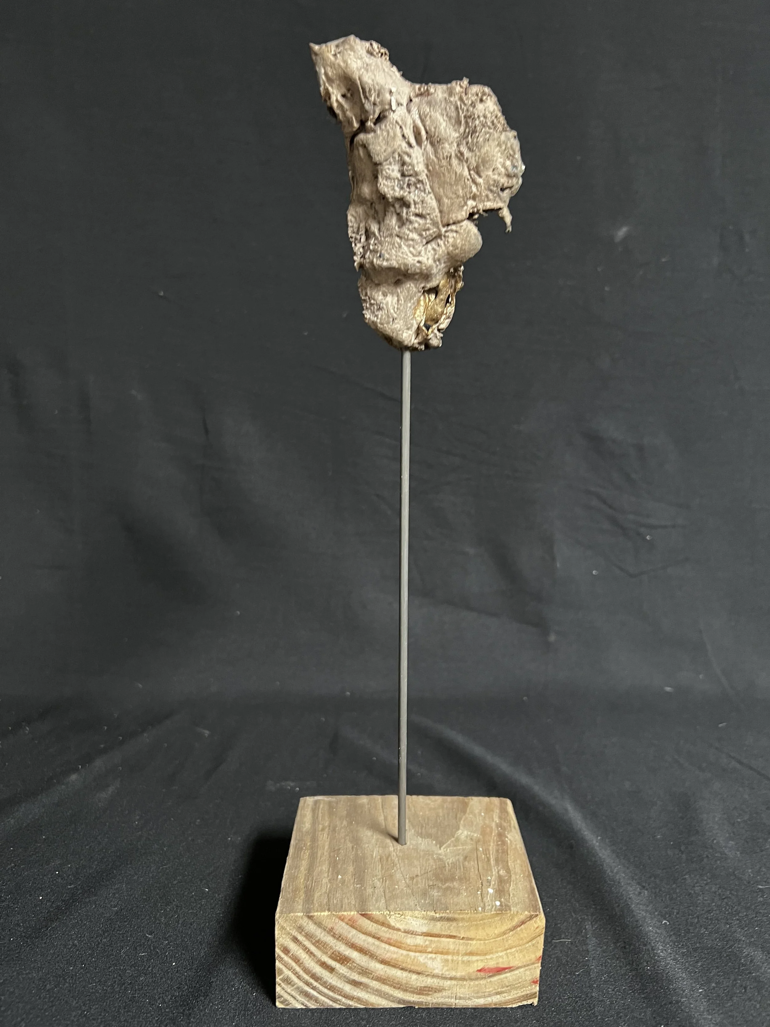 Winged Torso XX    13"x4"x3"    Bronze, Wood    $1200.00