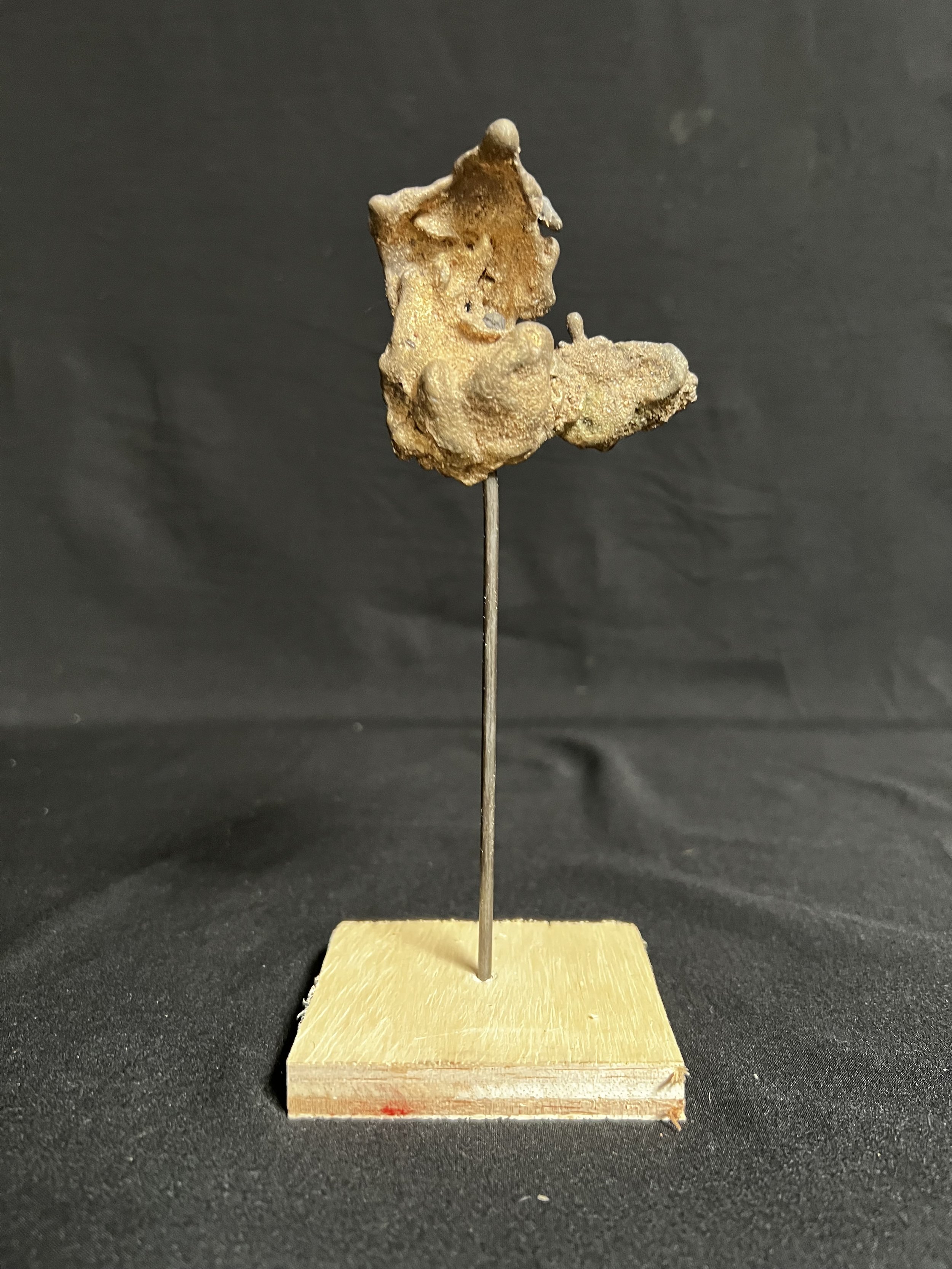 Torso with Lowered Wing     7"x3"x2"    Bronze, Wood    $400.00