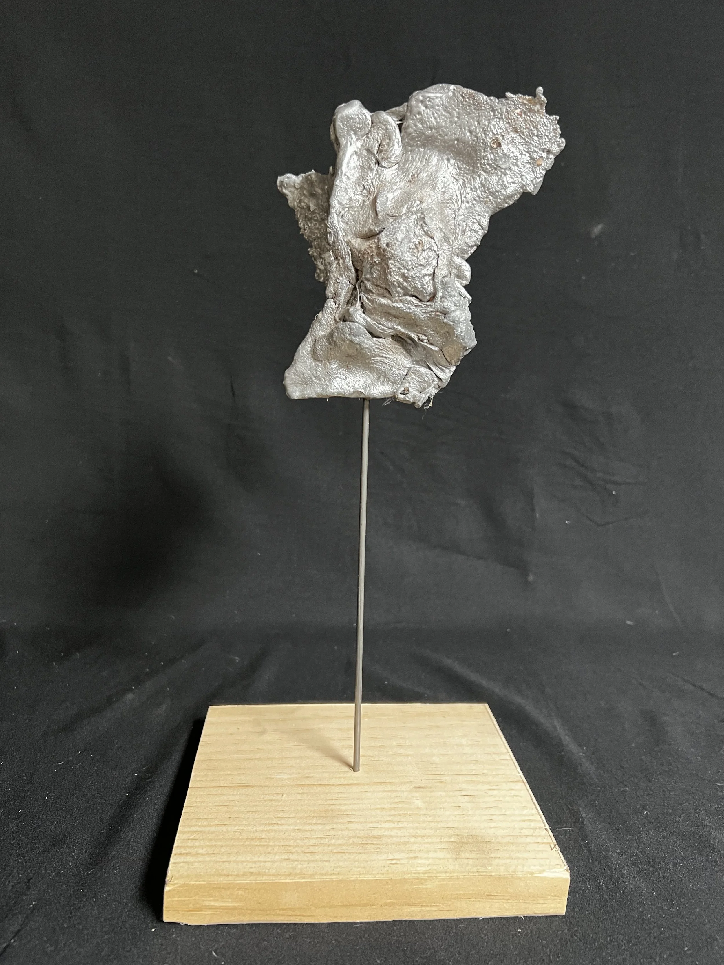 Winged Torso VII    14"x7"x6"    Aluminum, Wood    $1100.00