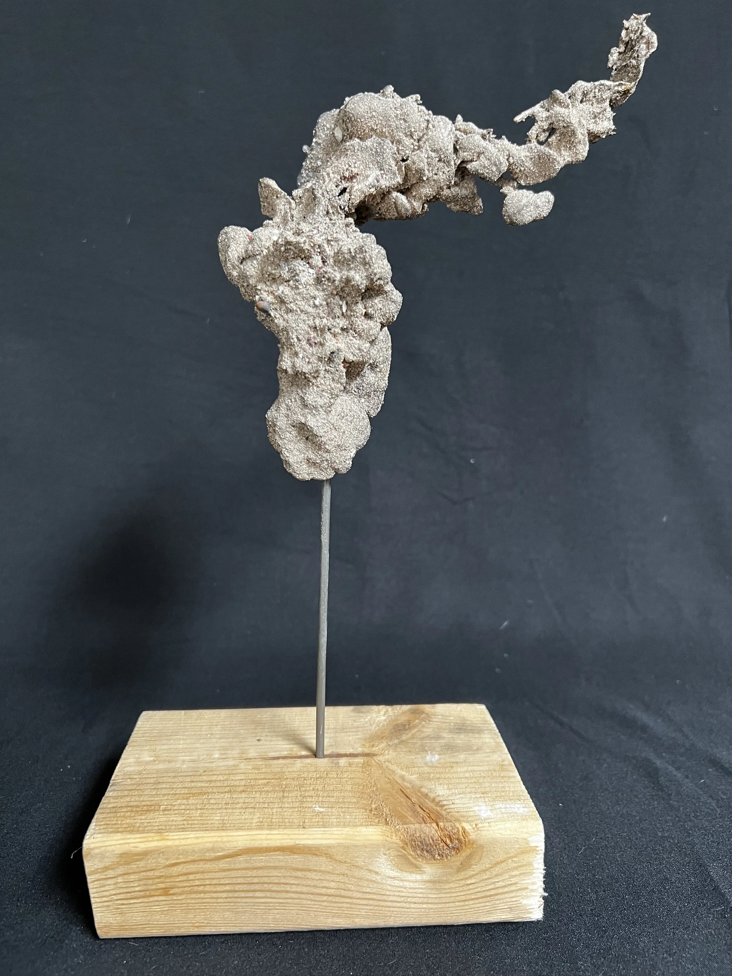 Female Torso Ascending I    13"x6"x3" Bronze, Wood    $1800.00