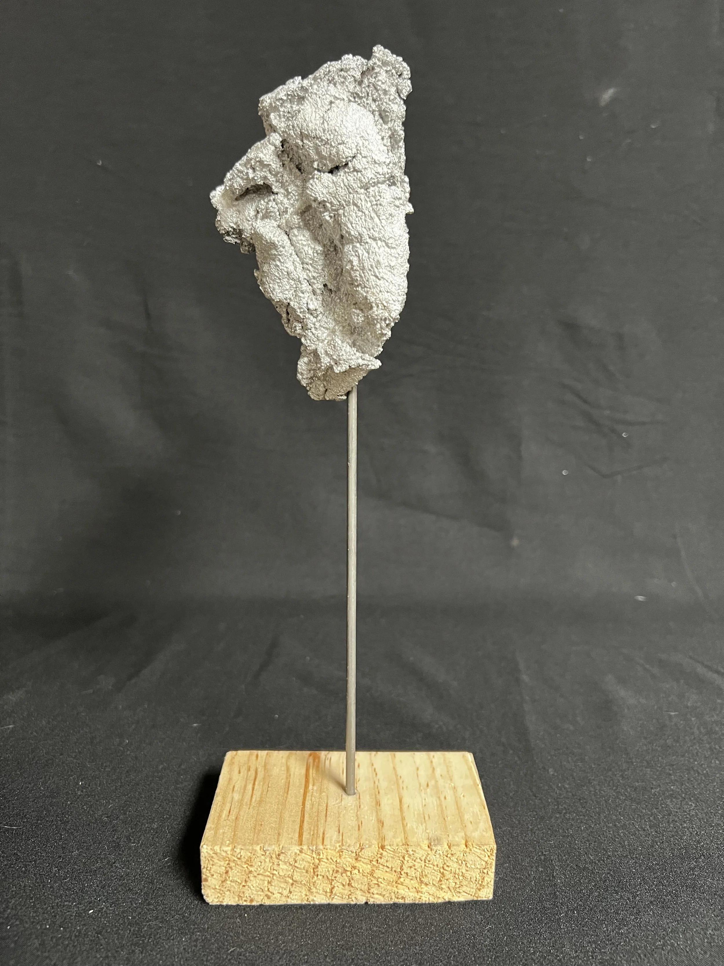 Winged Torso IX    11"x4"x2"    Aluminum, Wood    $1000.00