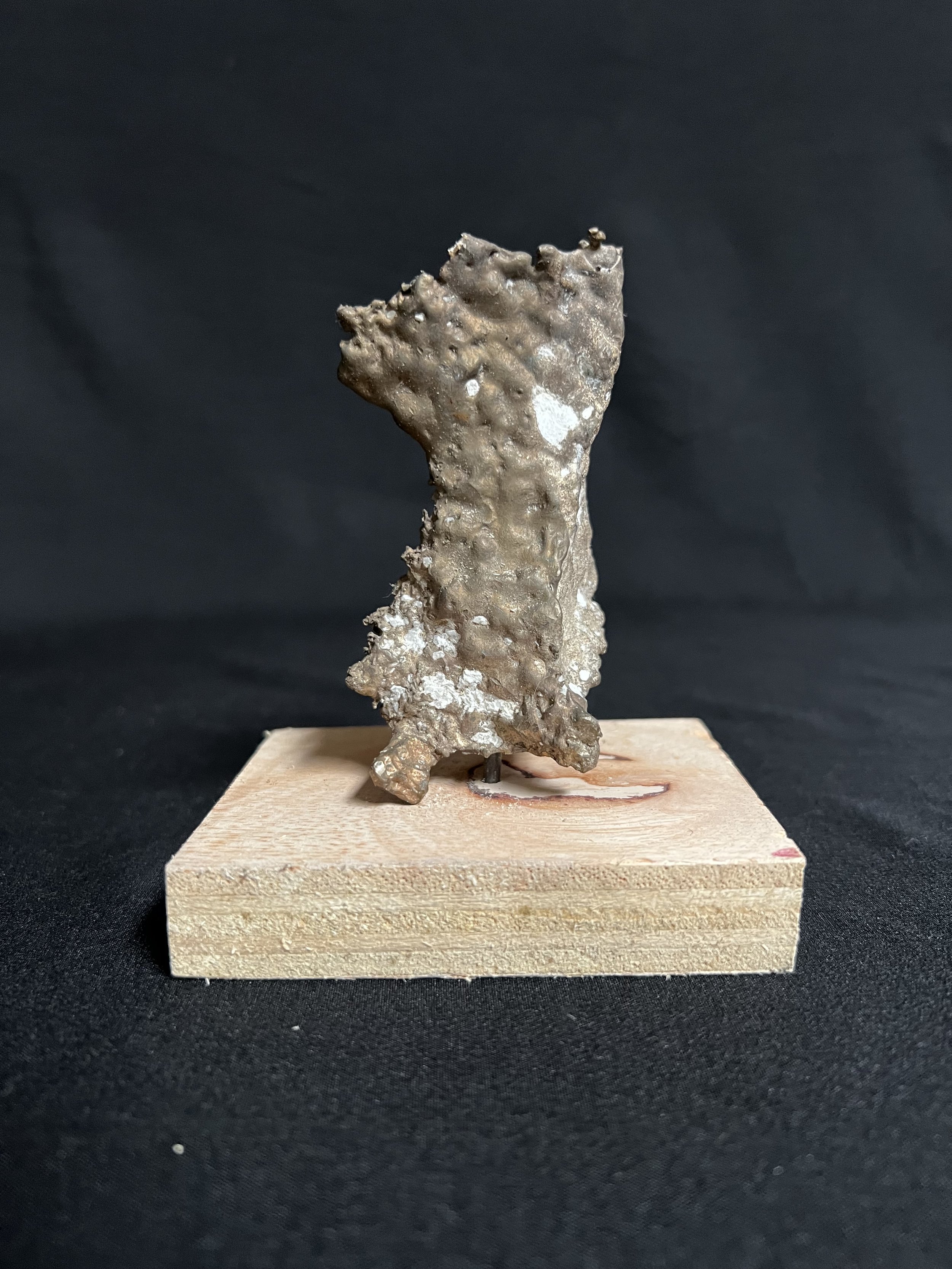 Torso Resting 4"x3"x3"    Bronze, Wood    $400.00