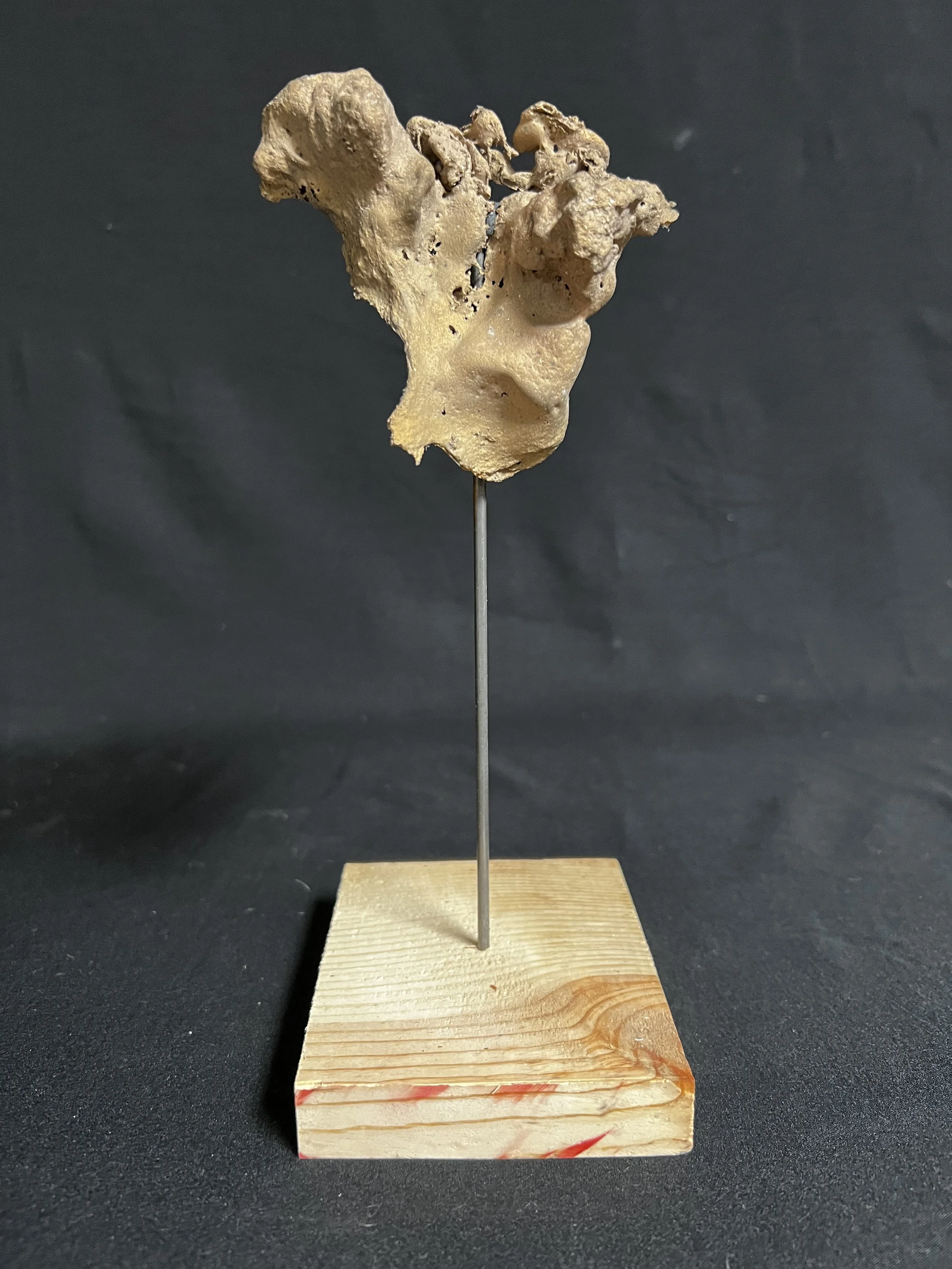 Winged Torso IV    9"x4"x5" Bronze, Wood    $1600.00