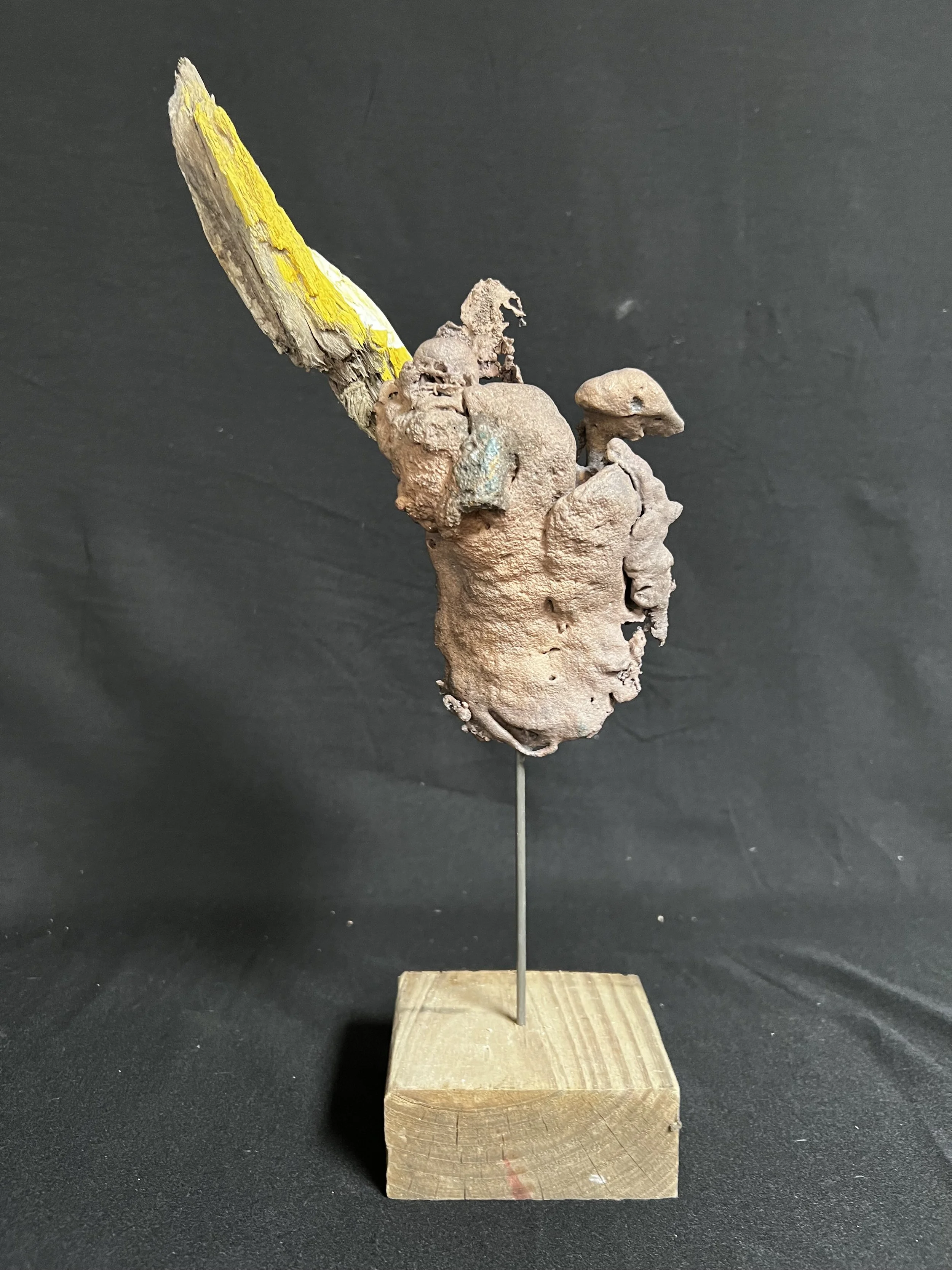 Male torso with Golden Wing    13"x4"x3" Bronze, Paint, Wood    $1800.00