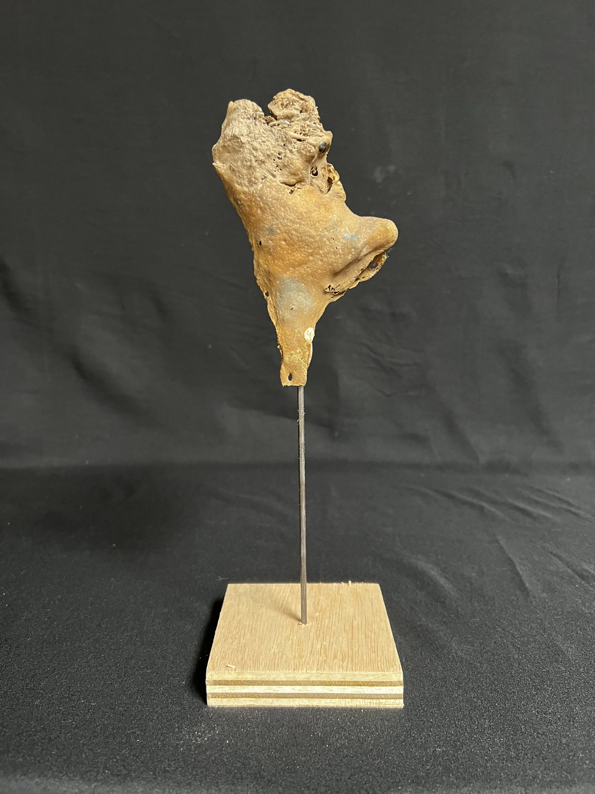 Daphne VI     11"x4"x4"     Bronze, Epoxy Putty, Paint, Wood     $1100.00