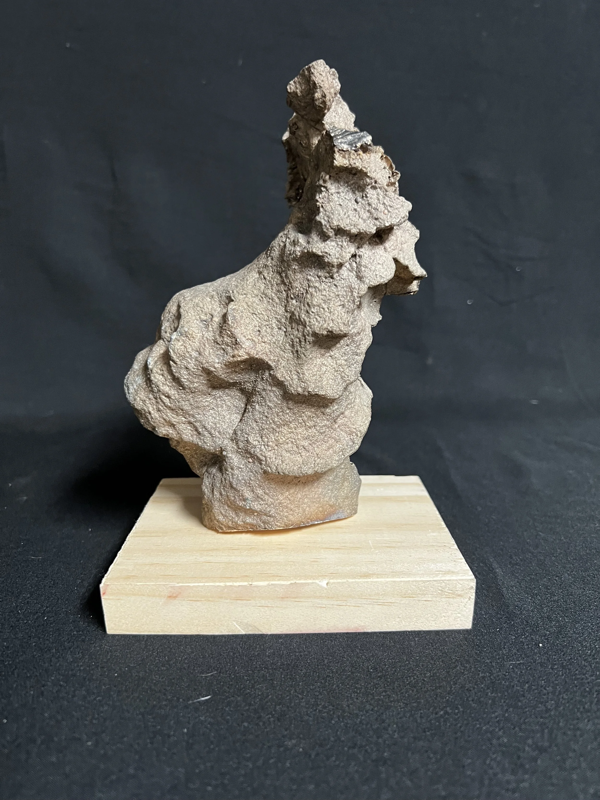 Winged Torso X    7"x6"x4"    Bronze, Wood    $600.00