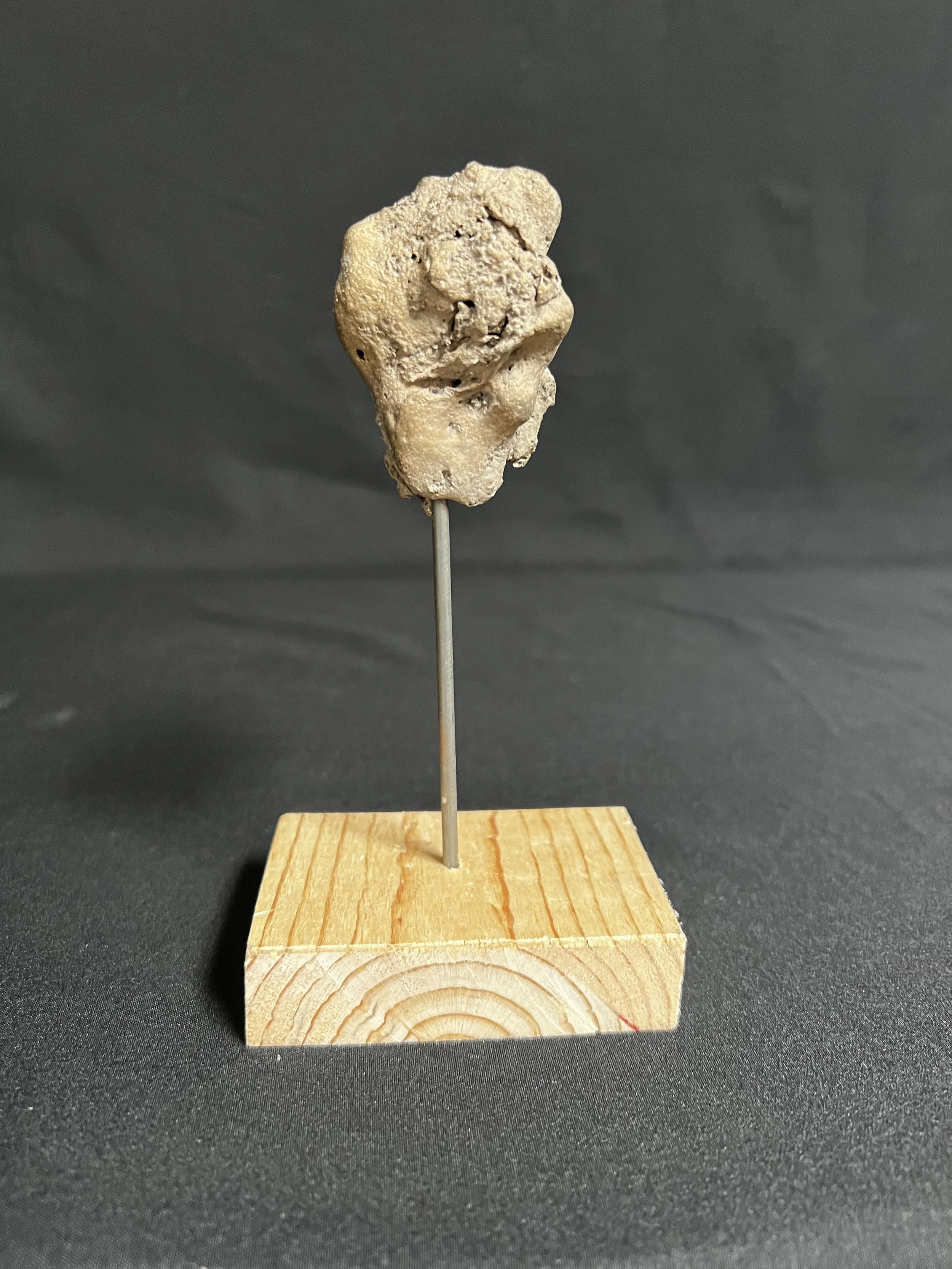 Jewel Series  Static Torso I     6"x3"x2"     Bronze, Wood     $500.00