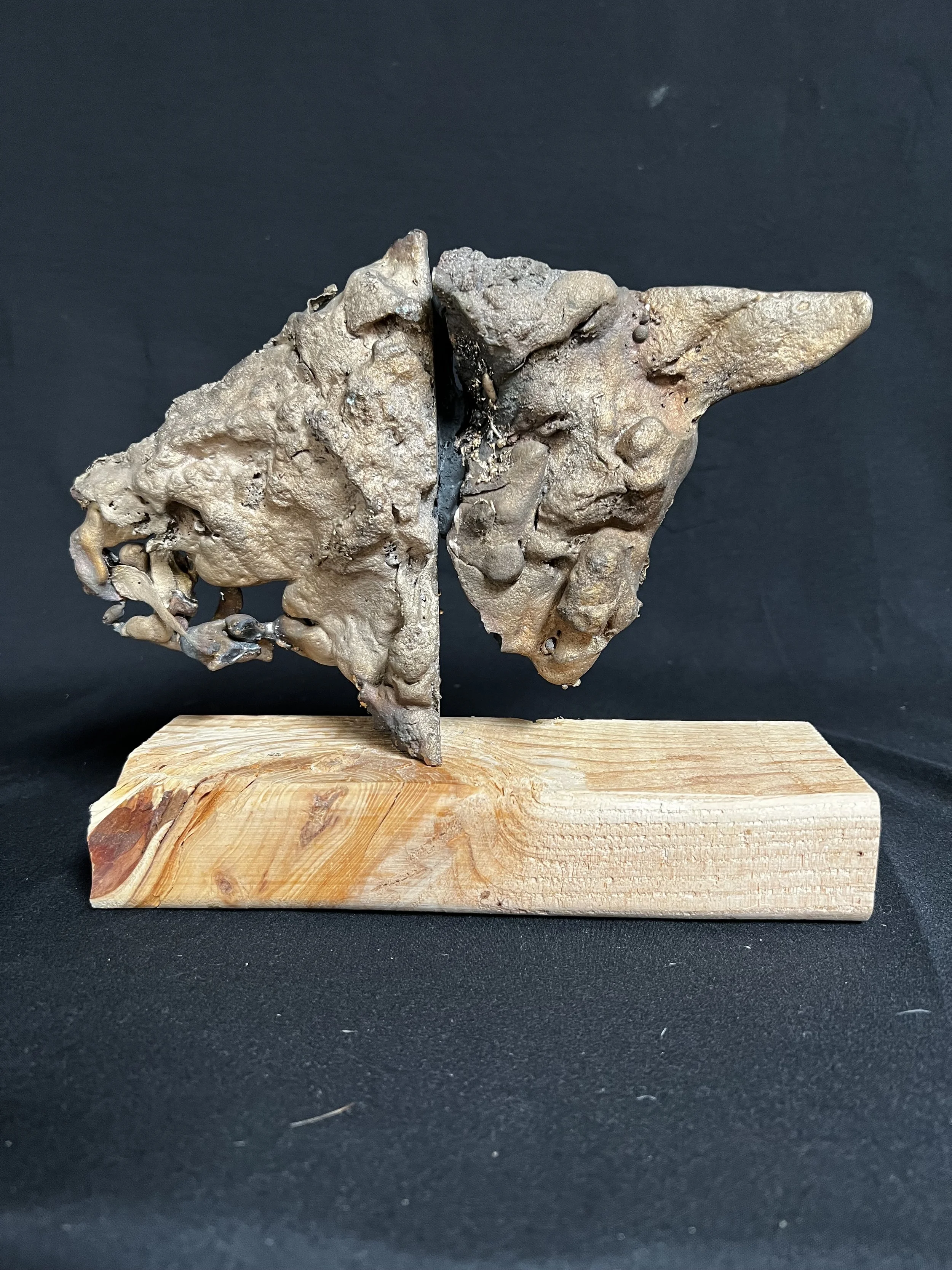 Split Torso I    8"x10"x3" Bronze, Epoxy Putty, Wood    $2000.00