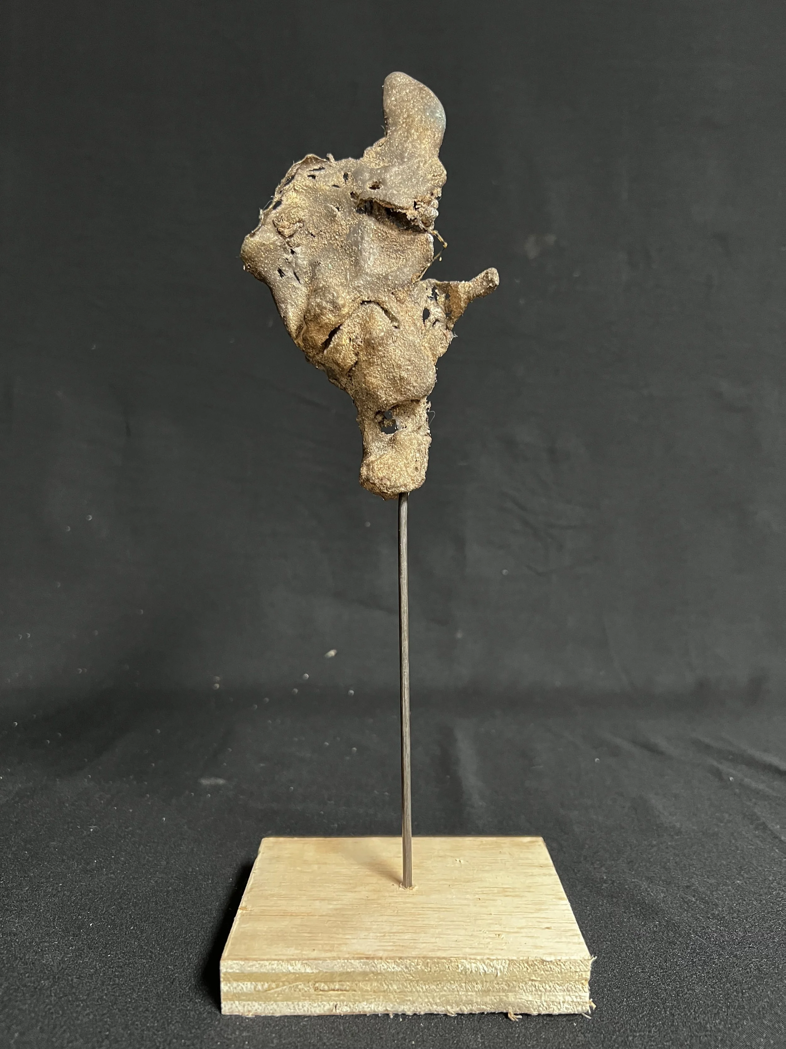 Beating Heart    12"x4"x3"    Bronze, Wood    $1200.00