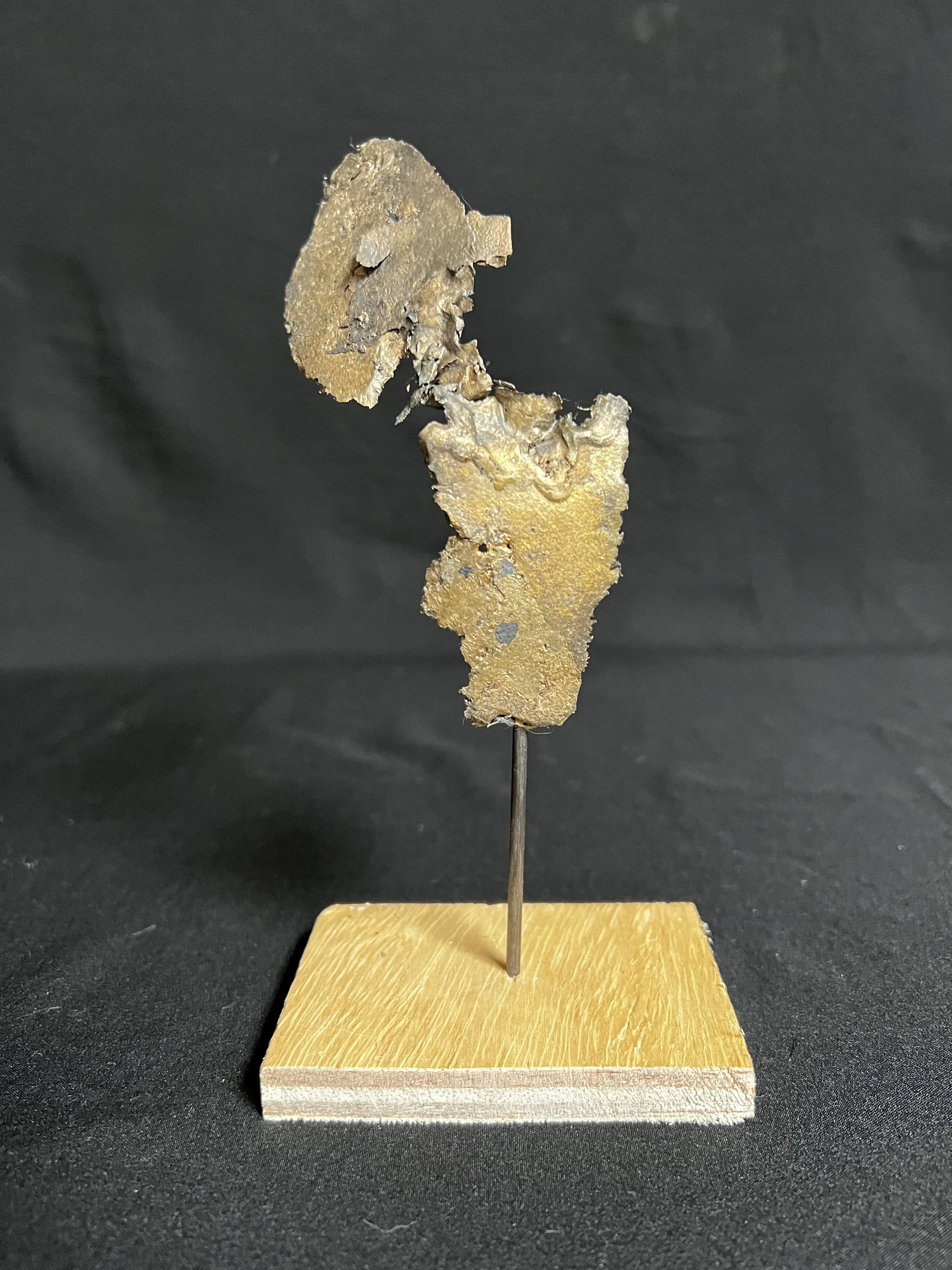 Torso with Wing II     7"x4"x2"    Bronze, Epoxy Putty, Paint, Wood    $550.00