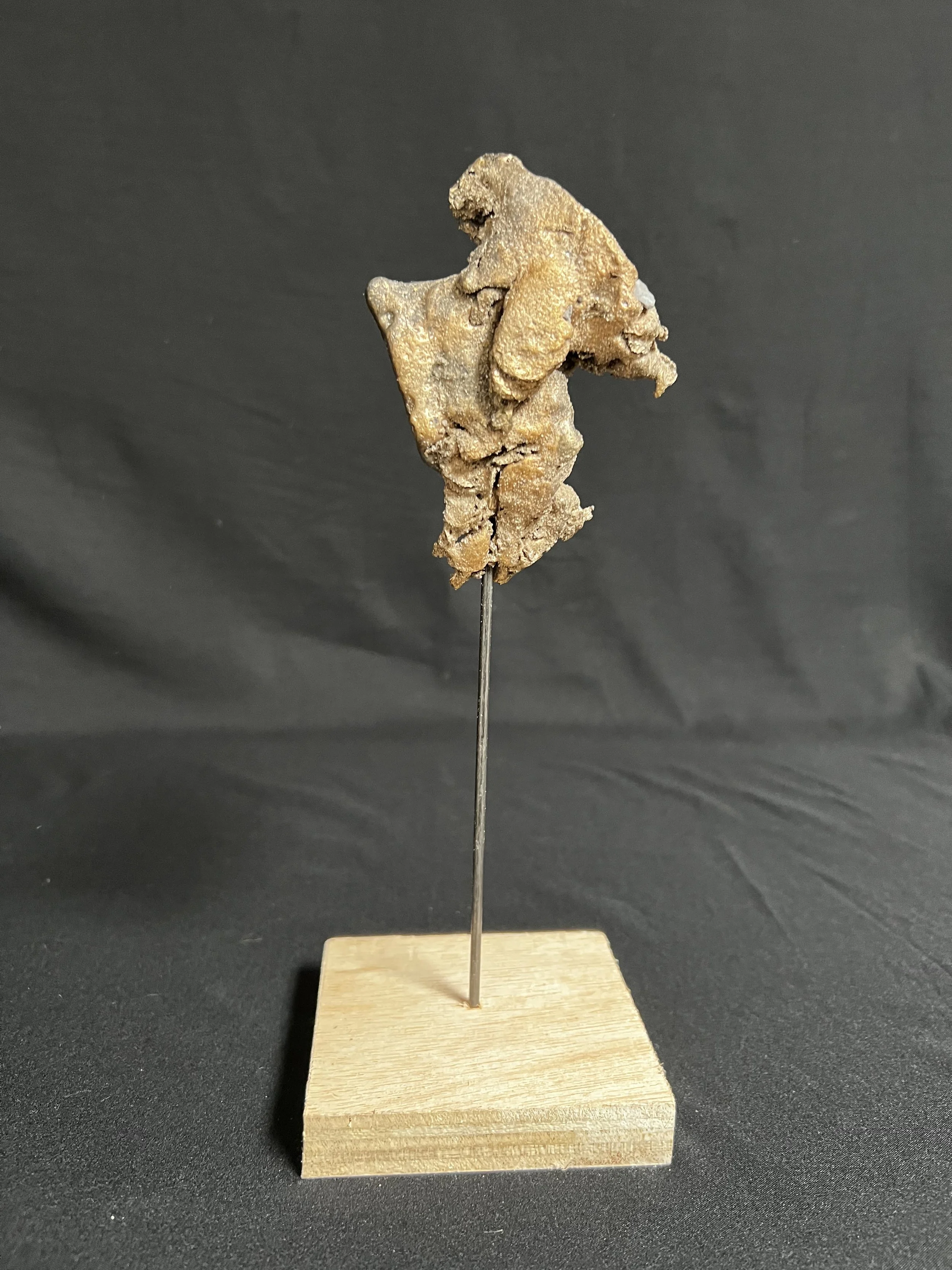 Torso with Wing IV     10"x4"x4"     Bronze, Wood     $1200.00