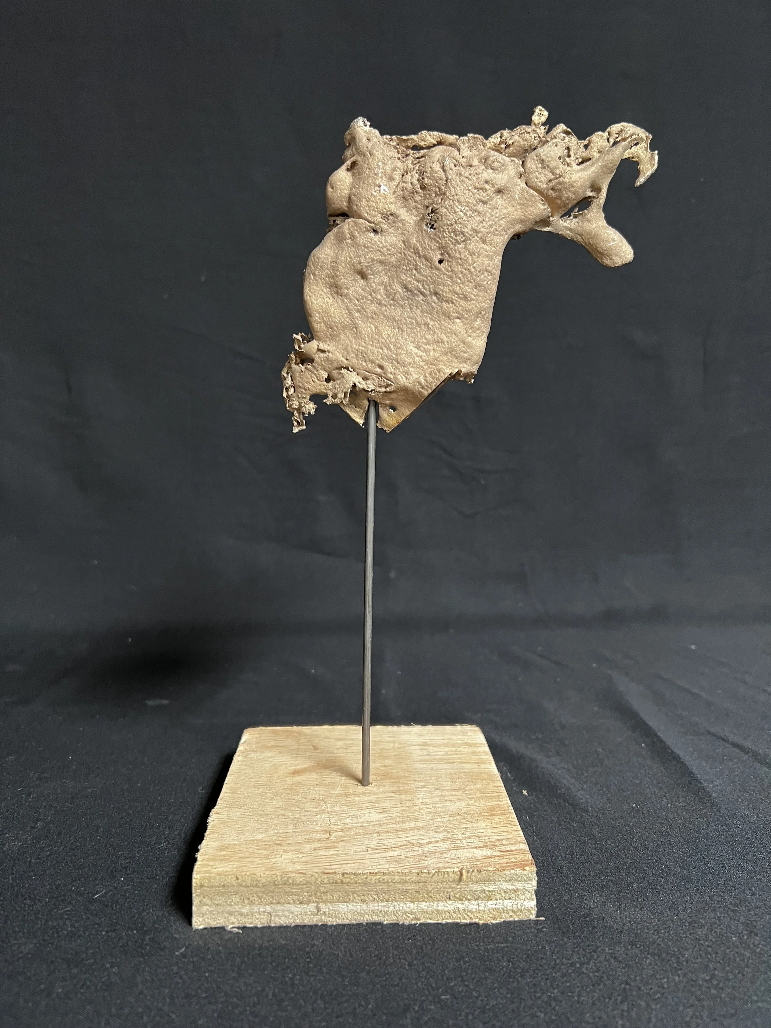 Eurus I     10"x4"x4"    Bronze, Wood    $1200.00