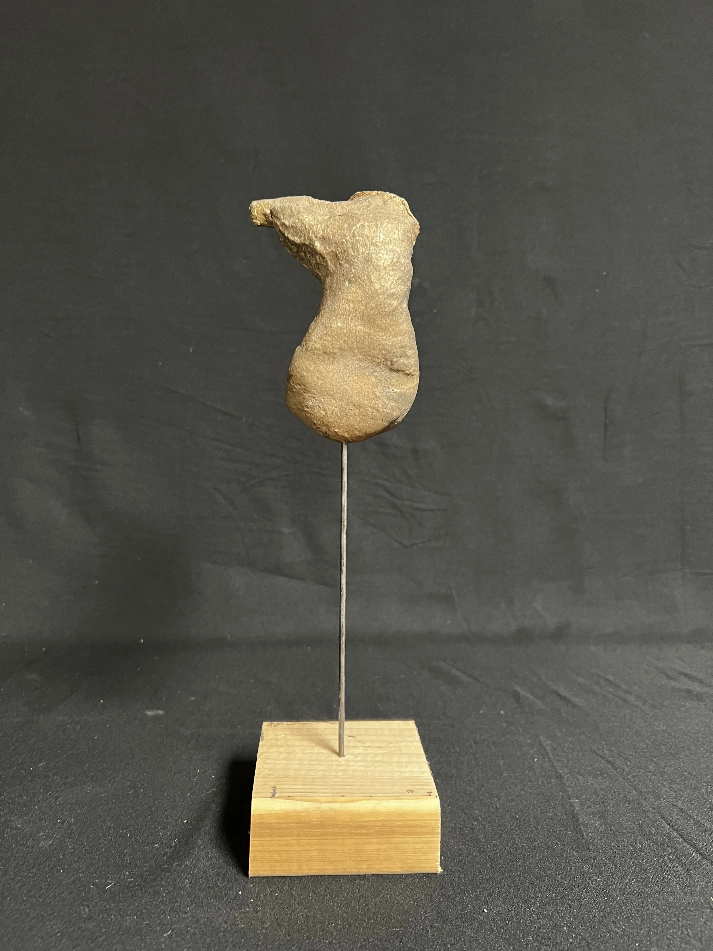 Daphne III     12"x3"x3"    Bronze, Epoxy Putty, Paint, Wood    $1800.00