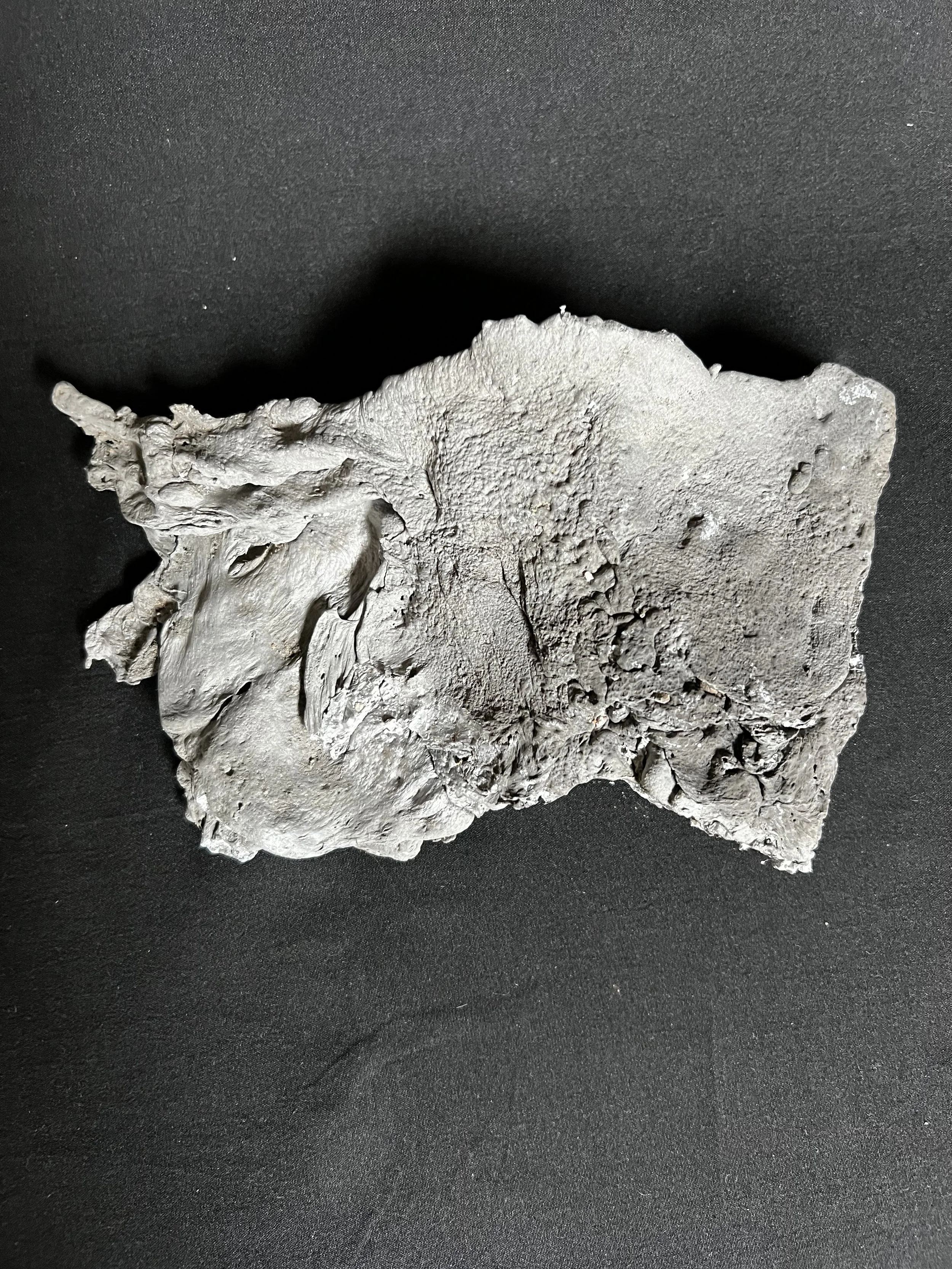 Relief Series Torso IV     5"x7"x2"    Aluminum    $1000.00