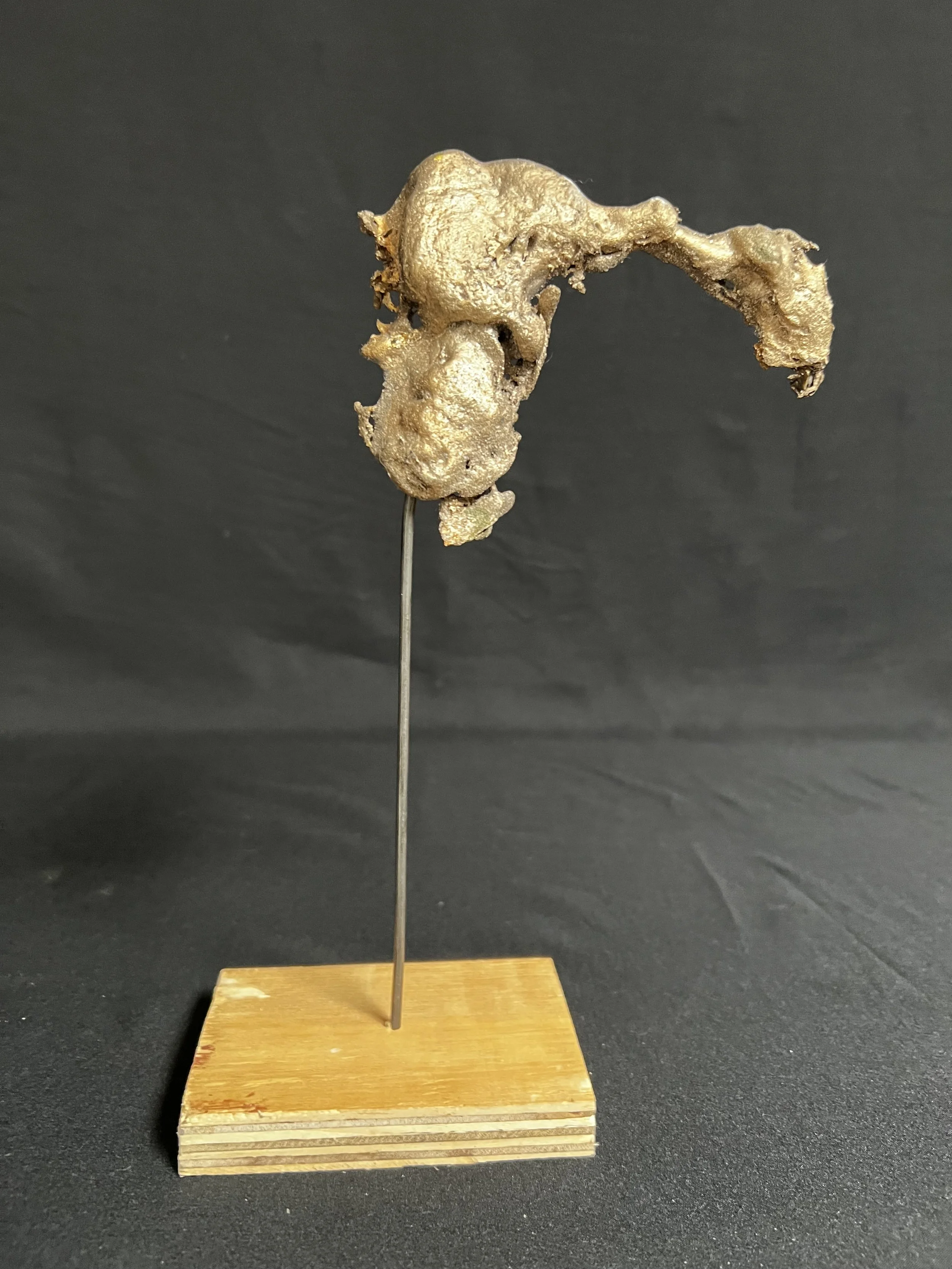 Torso Rising II     11"x6"x3"     Bronze, Wood     $1200.00