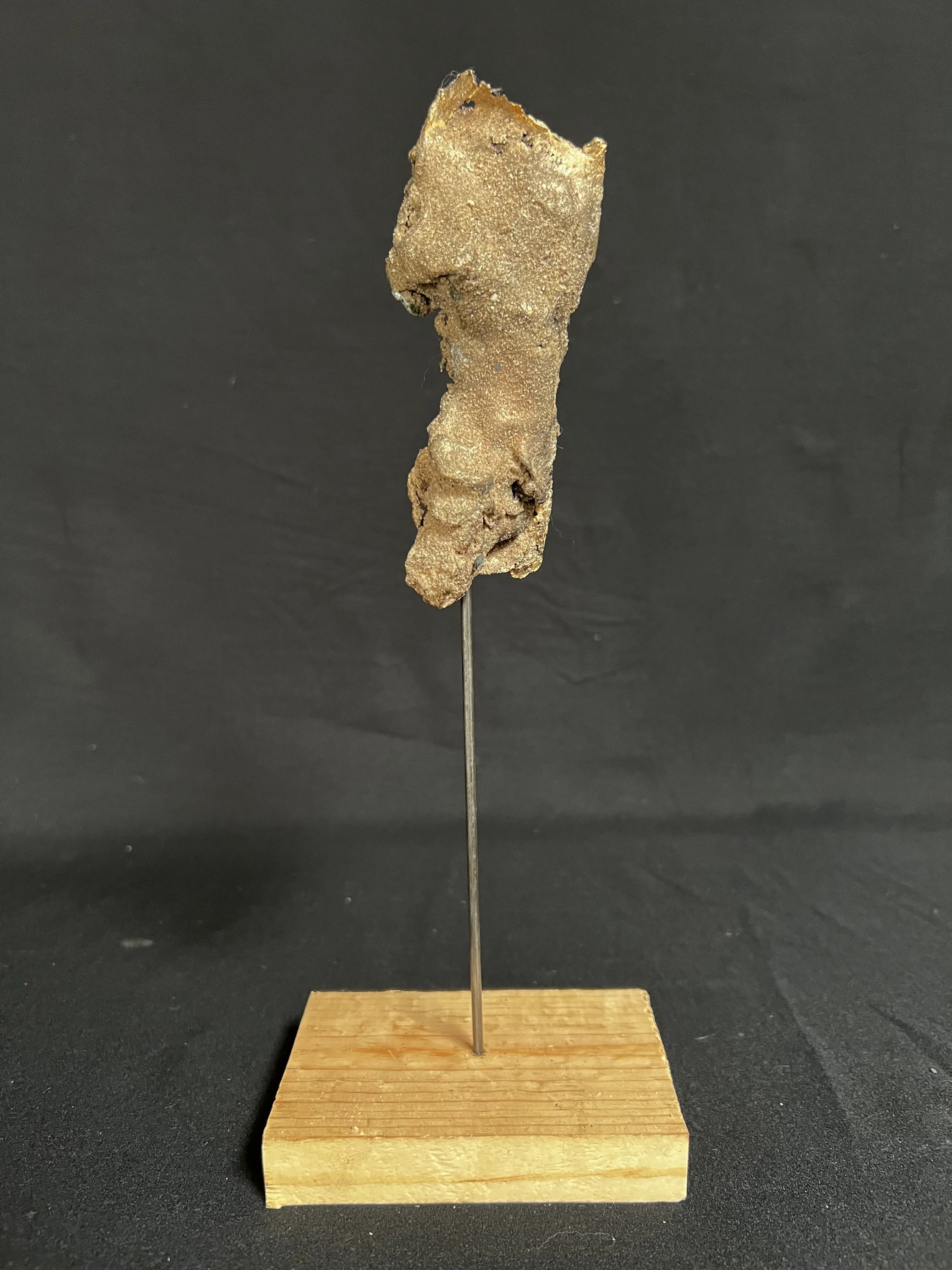 Eos I     11"x4"x3"    Bronze, Wood    $1500.00