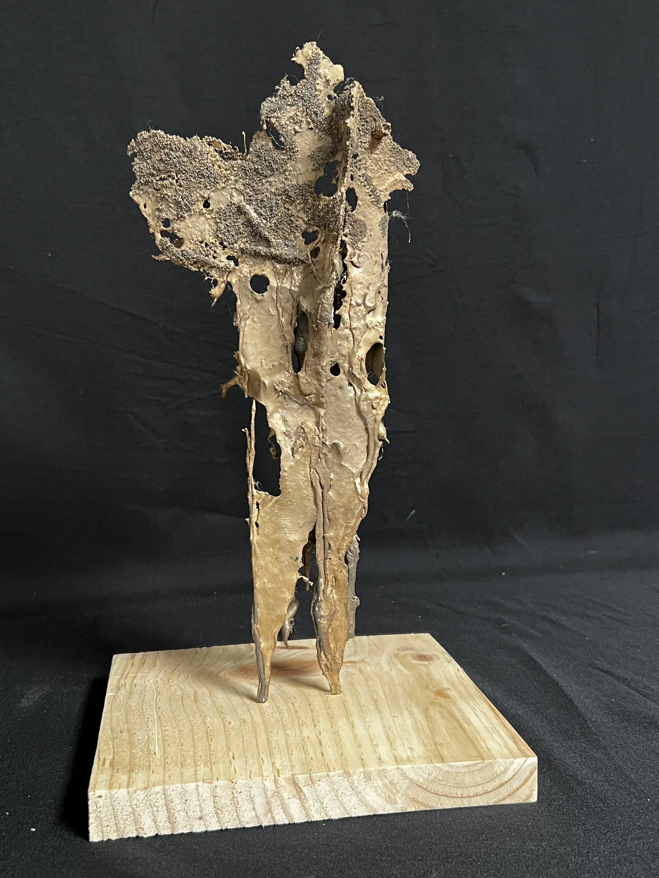 Winged Figure I    13"x7"x6" Bronze, Wood $1800.00