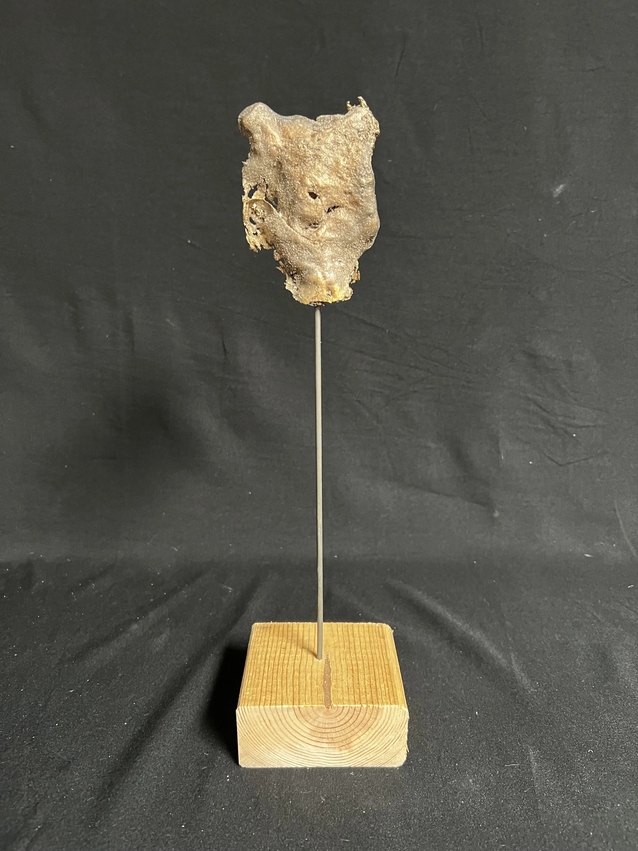 Winged Torso XVI    13"x4"x3"   Bronze, Wood, Natural Patina    $1200.00