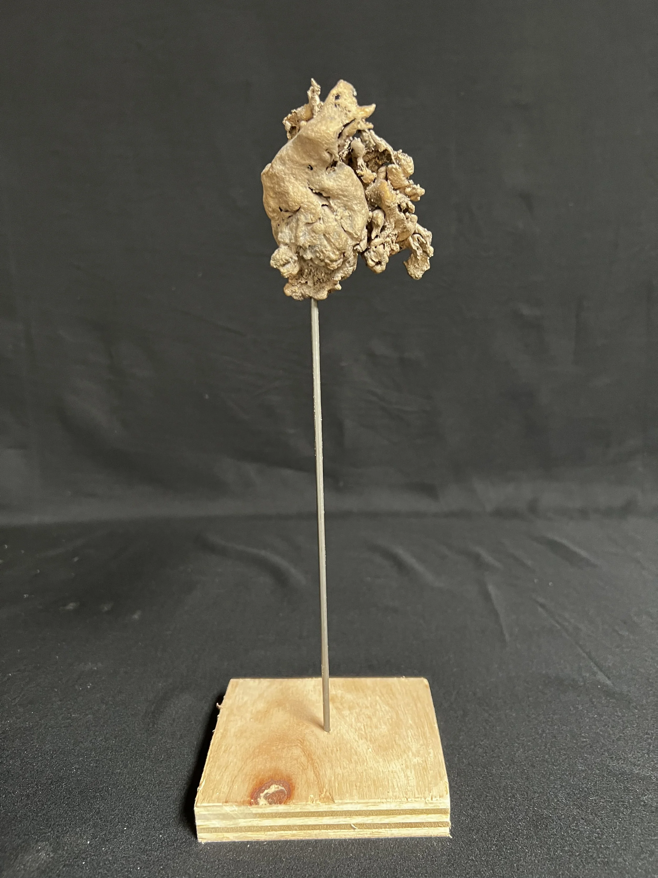 Winged Torso at Rest II      Bronze, Epoxy Putty, Paint, Wood     $1100.00