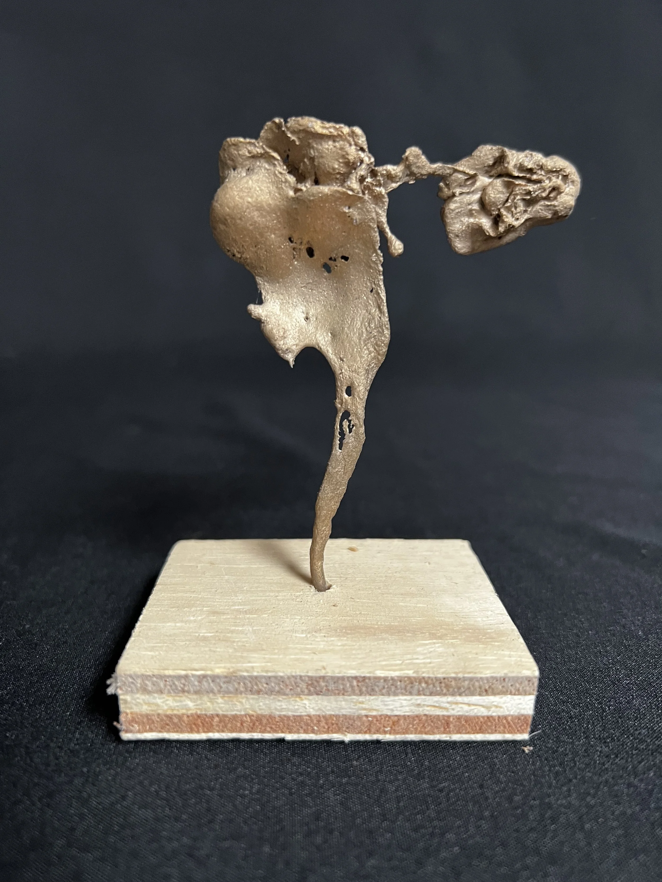 Jewel Series Daphne II    4"x3"x2"    Bronze, Wood    $500.00