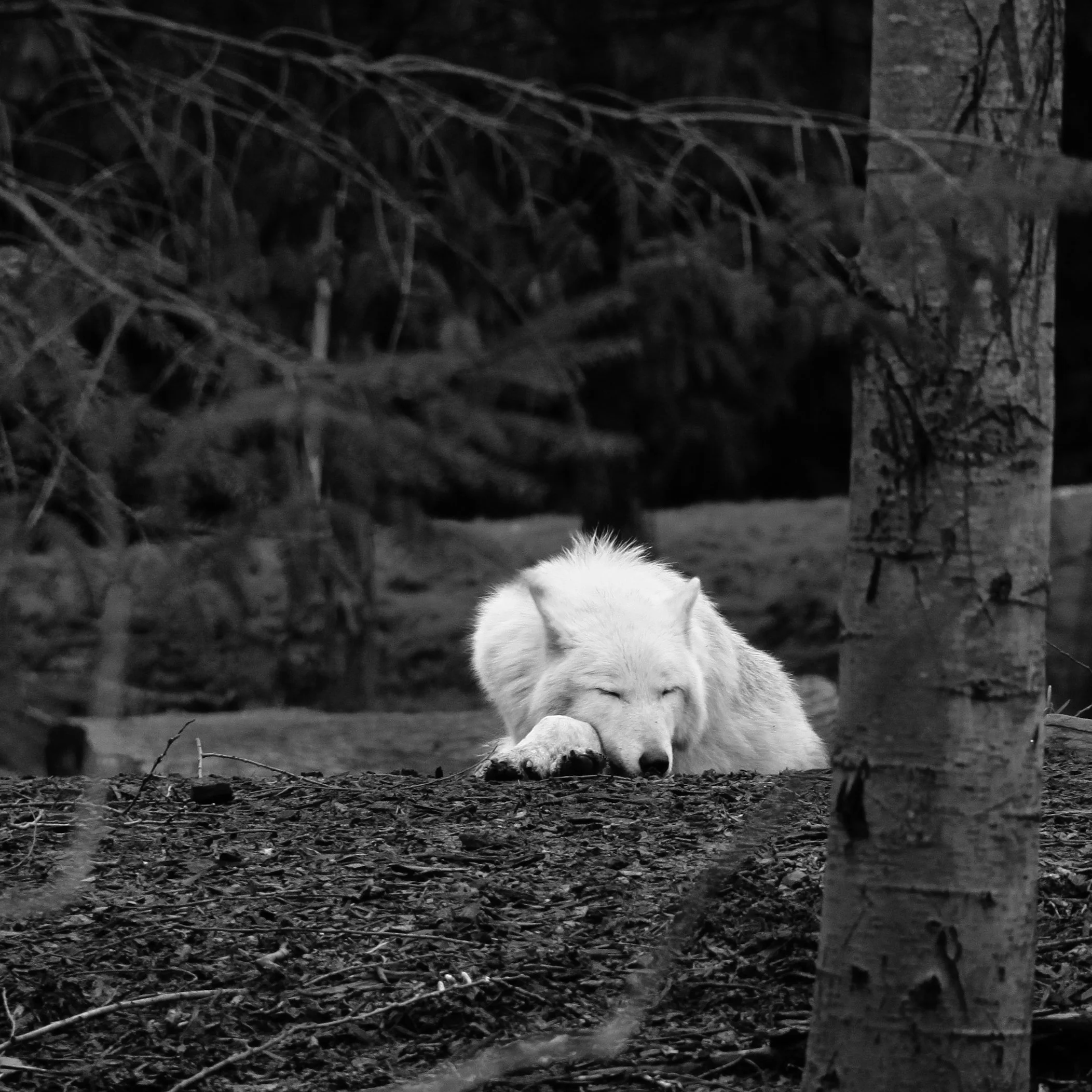 PHOTOGRAPHY /// POST PRODUCTION