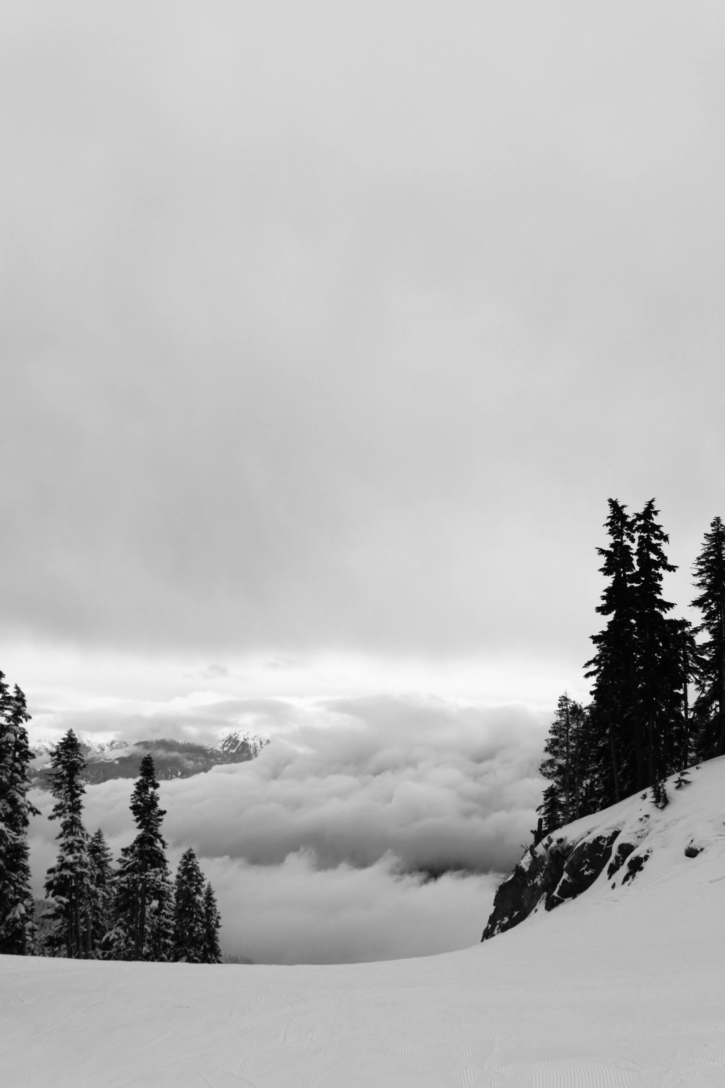 PHOTOGRAPHY /// POST PRODUCTION