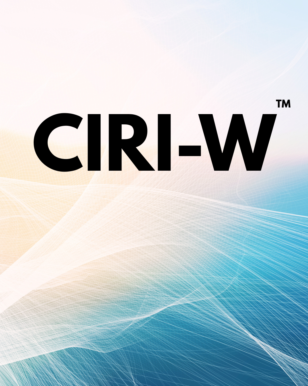 CIRI-W  Workforce Alignment Evaluation