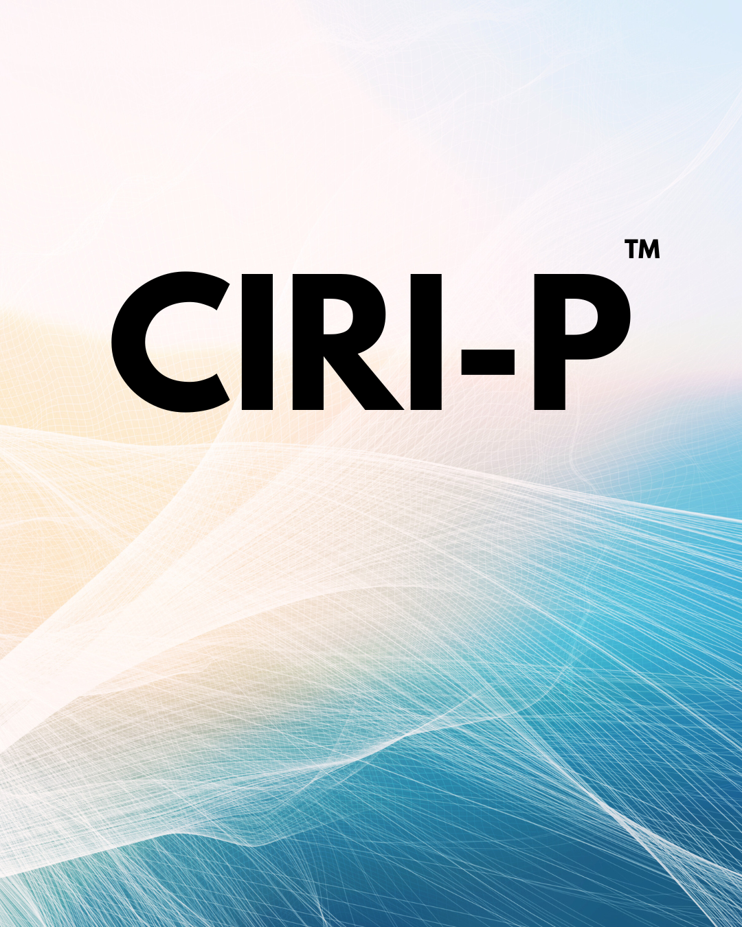CIRI-P™ Policy Alignment Evaluation