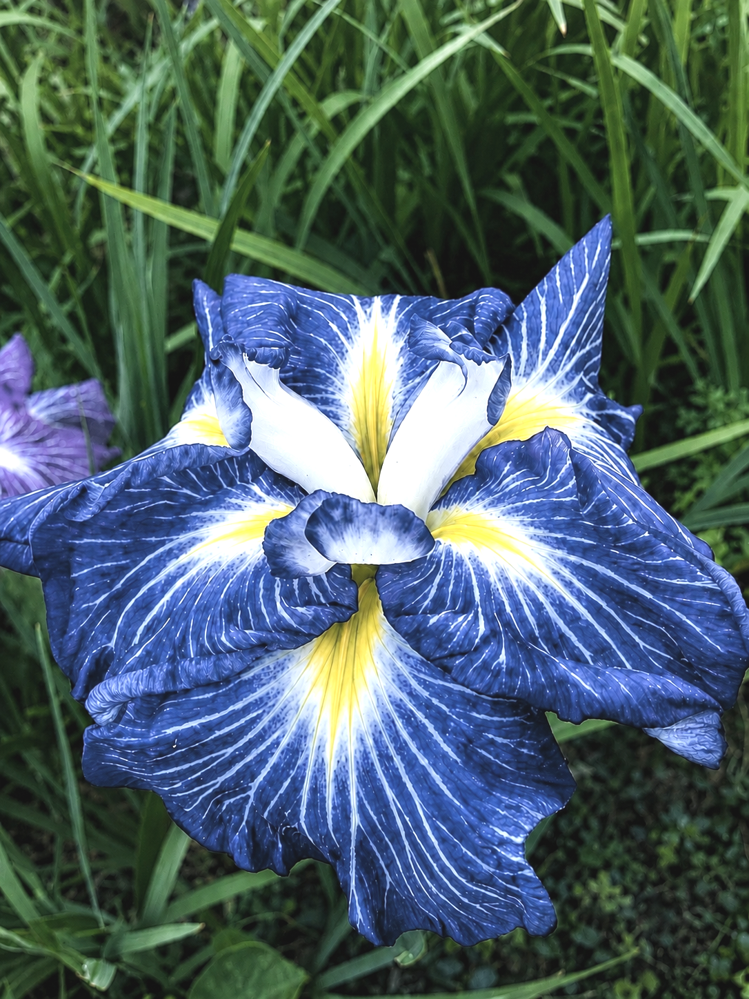 DA23586E-D7A1-46B1-9DE7-5248950EF621.png