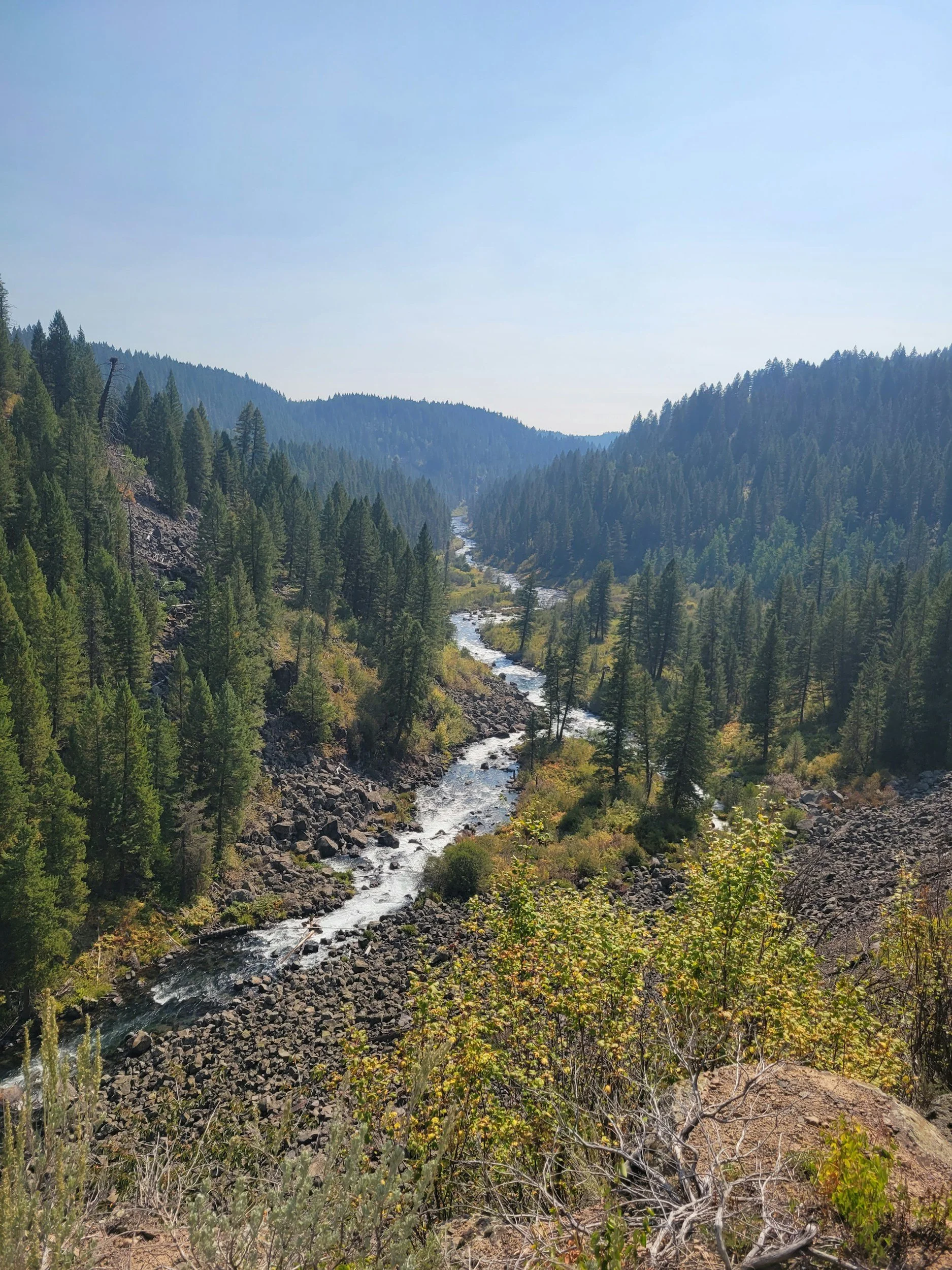 A scenic view of a mountainous forest with a river running through the middle.