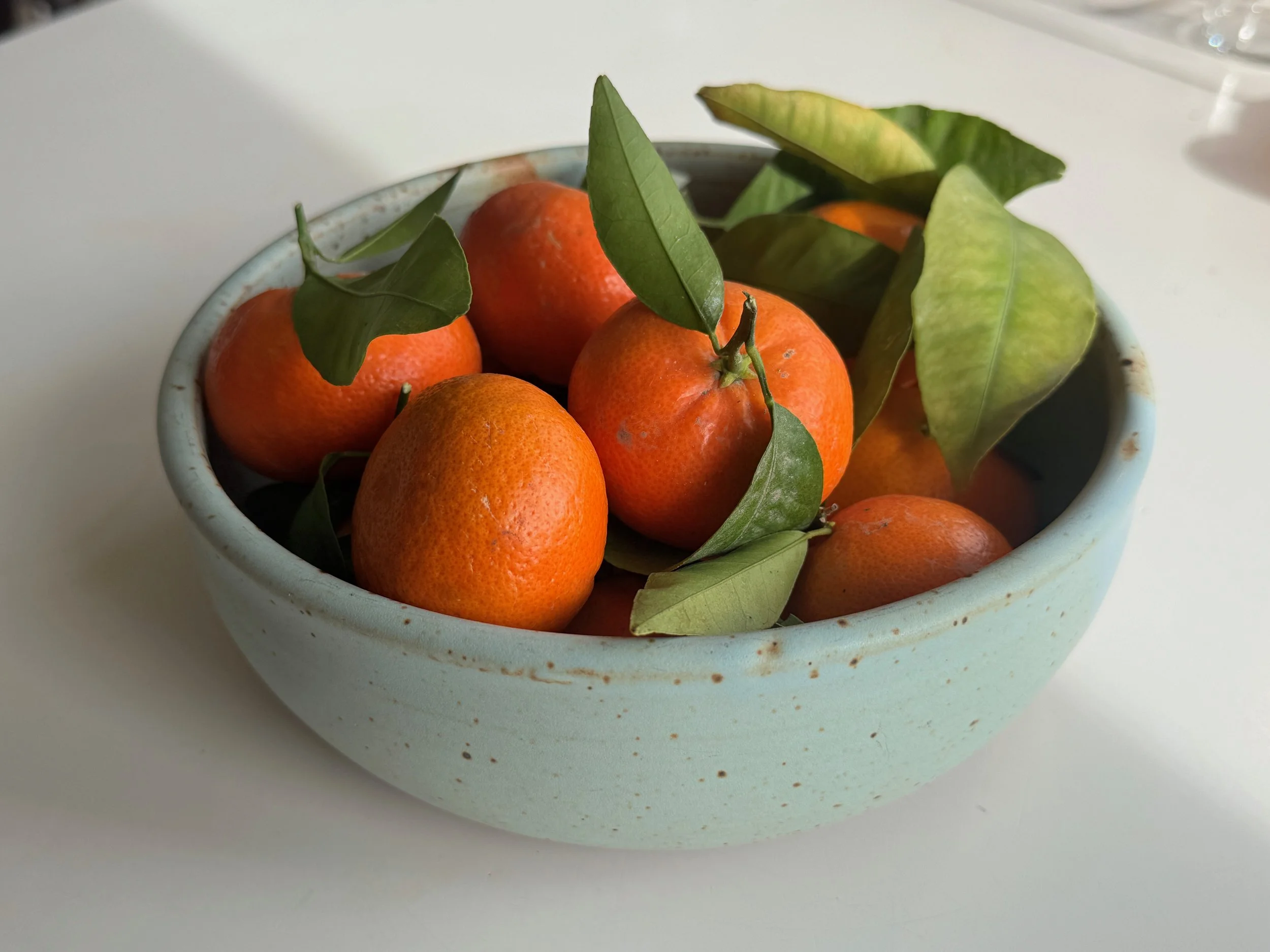 Class Pictures - 2 (4).jpeg