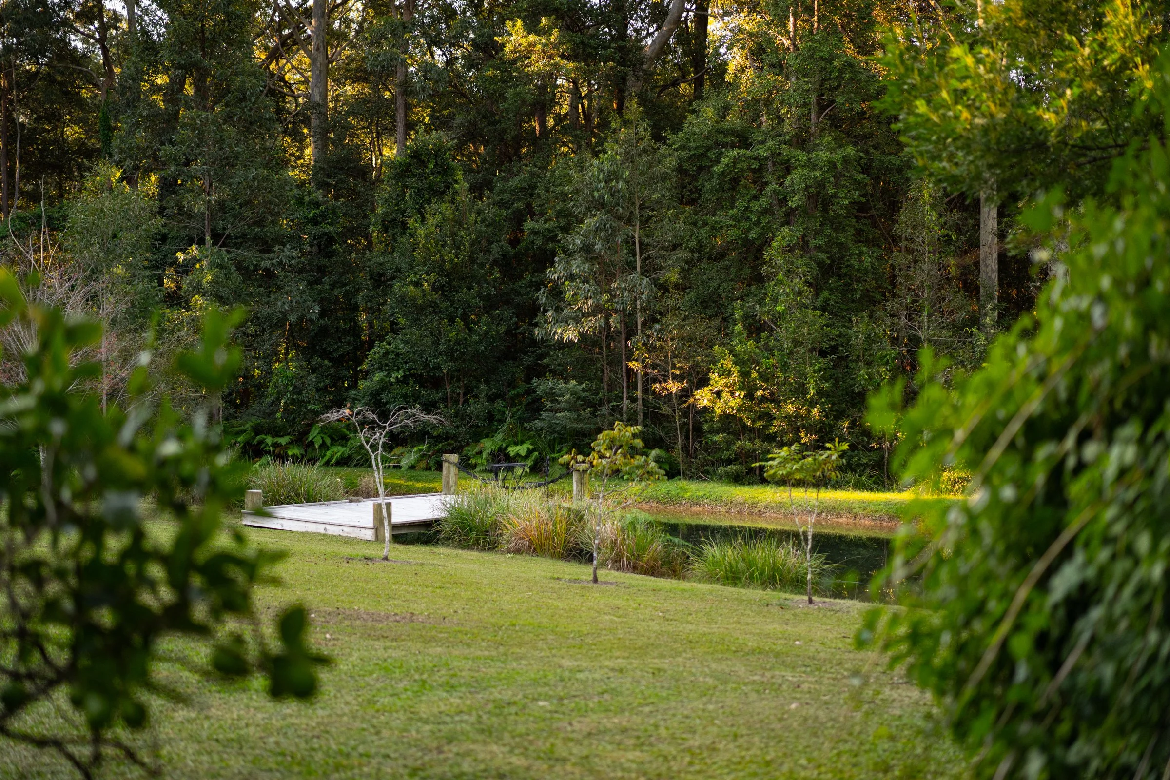 A scenic outdoor park with lush green trees, a small pond, a white bridge, and a neatly maintained lawn.