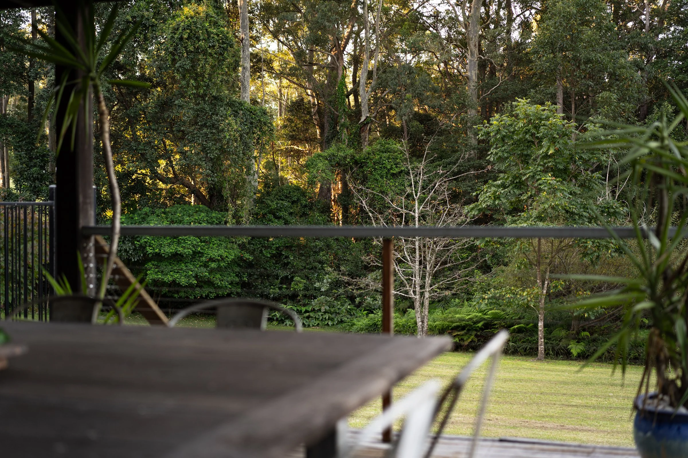 View from a balcony showing green trees, bushes, and a yard, with sunlight filtering through the foliage.