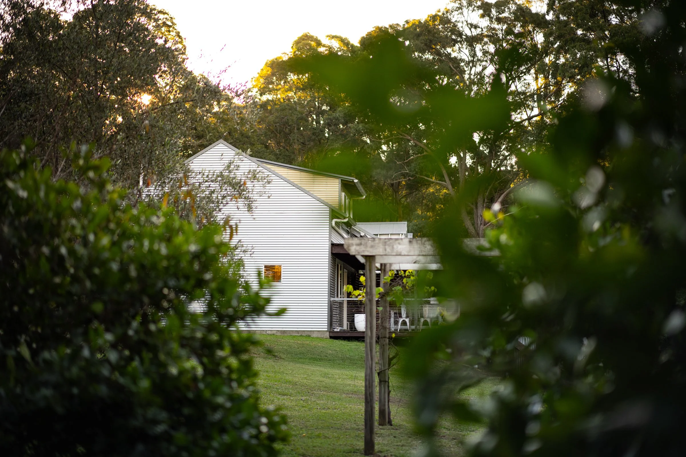 House with white exterior walls and a sloped roof, surrounded by dense shrubs and tall trees, with sunlight setting behind the trees.