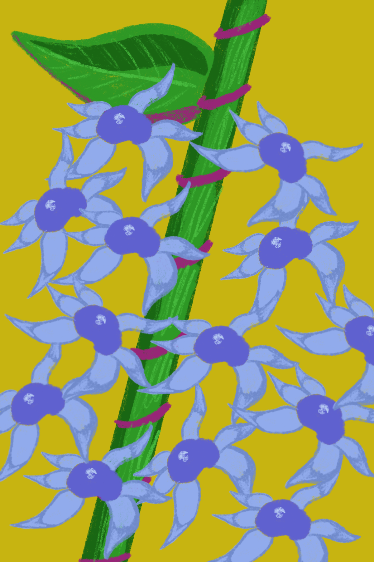 plant_6.png